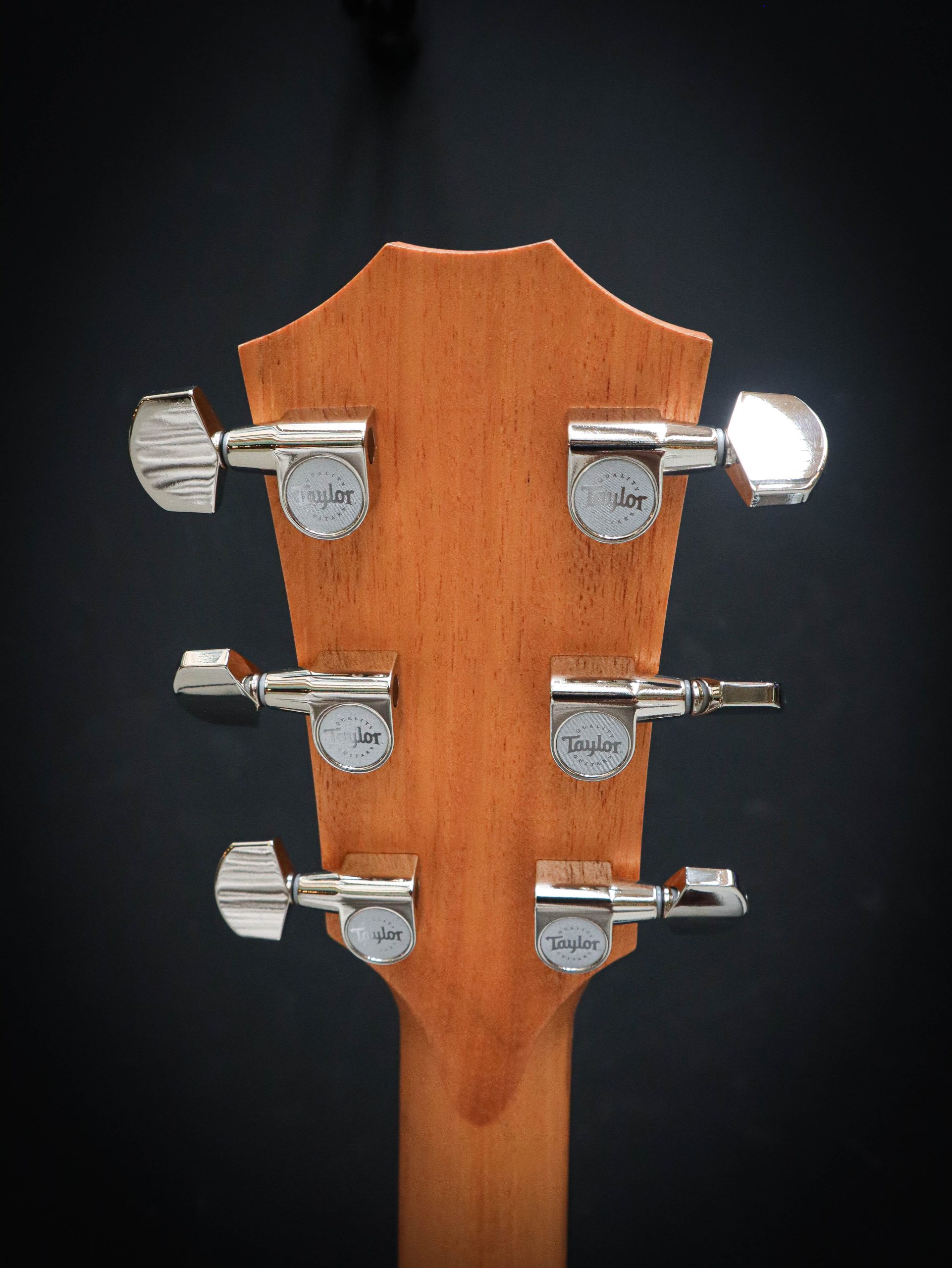 Taylor 210ce Plus - Image 10