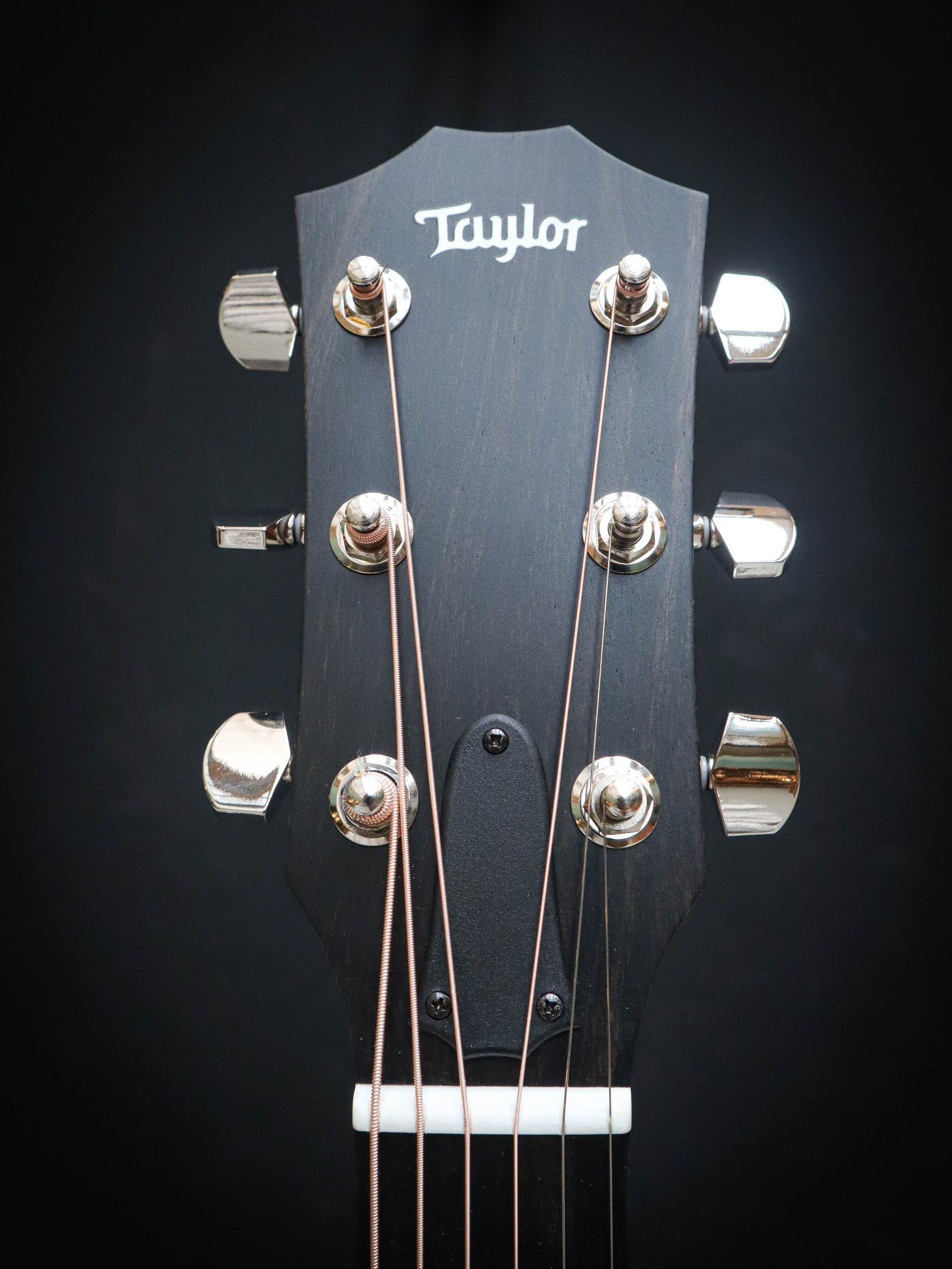 Taylor 210ce Plus - Image 9