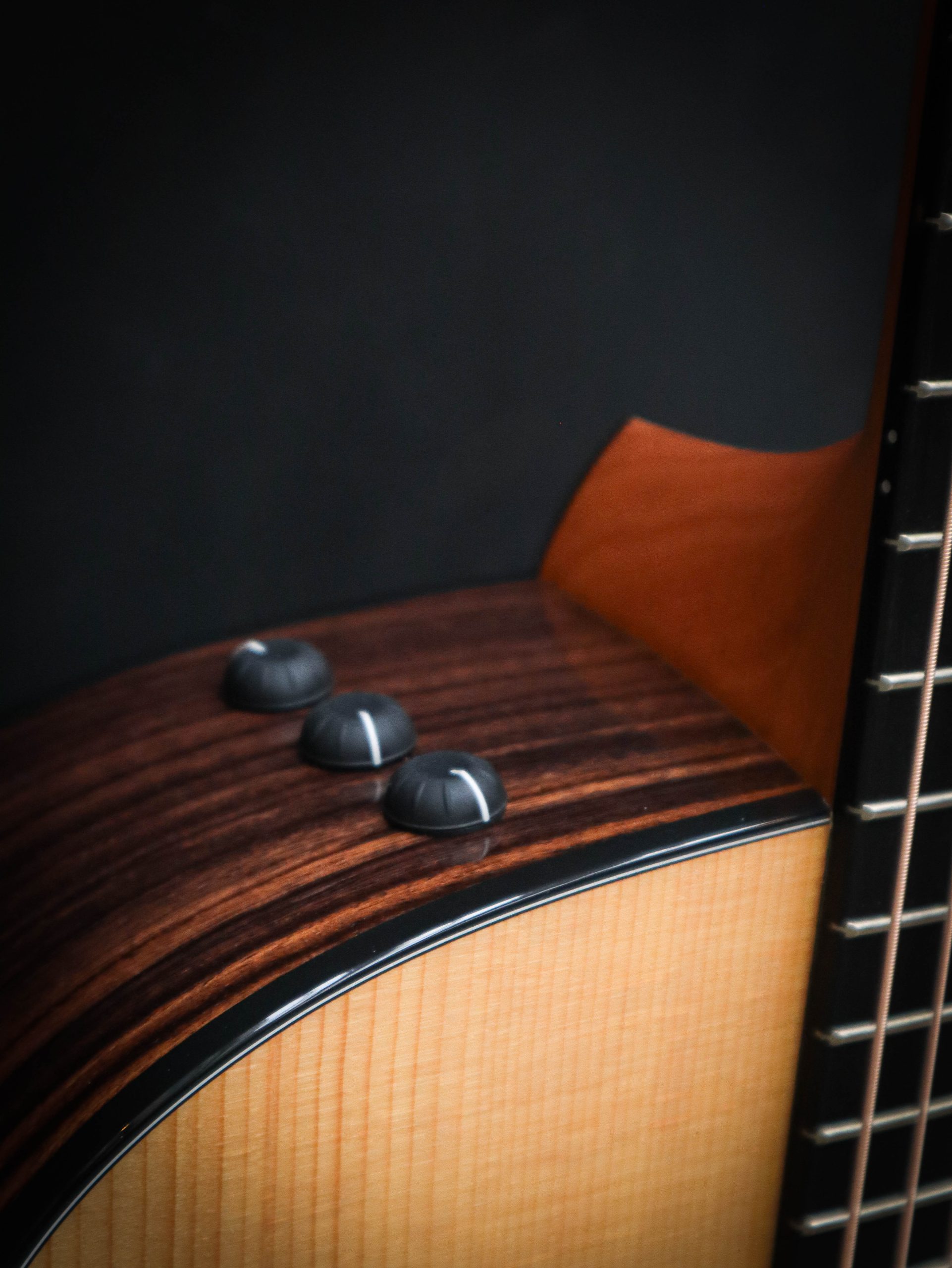 Taylor 210ce Plus - Image 5