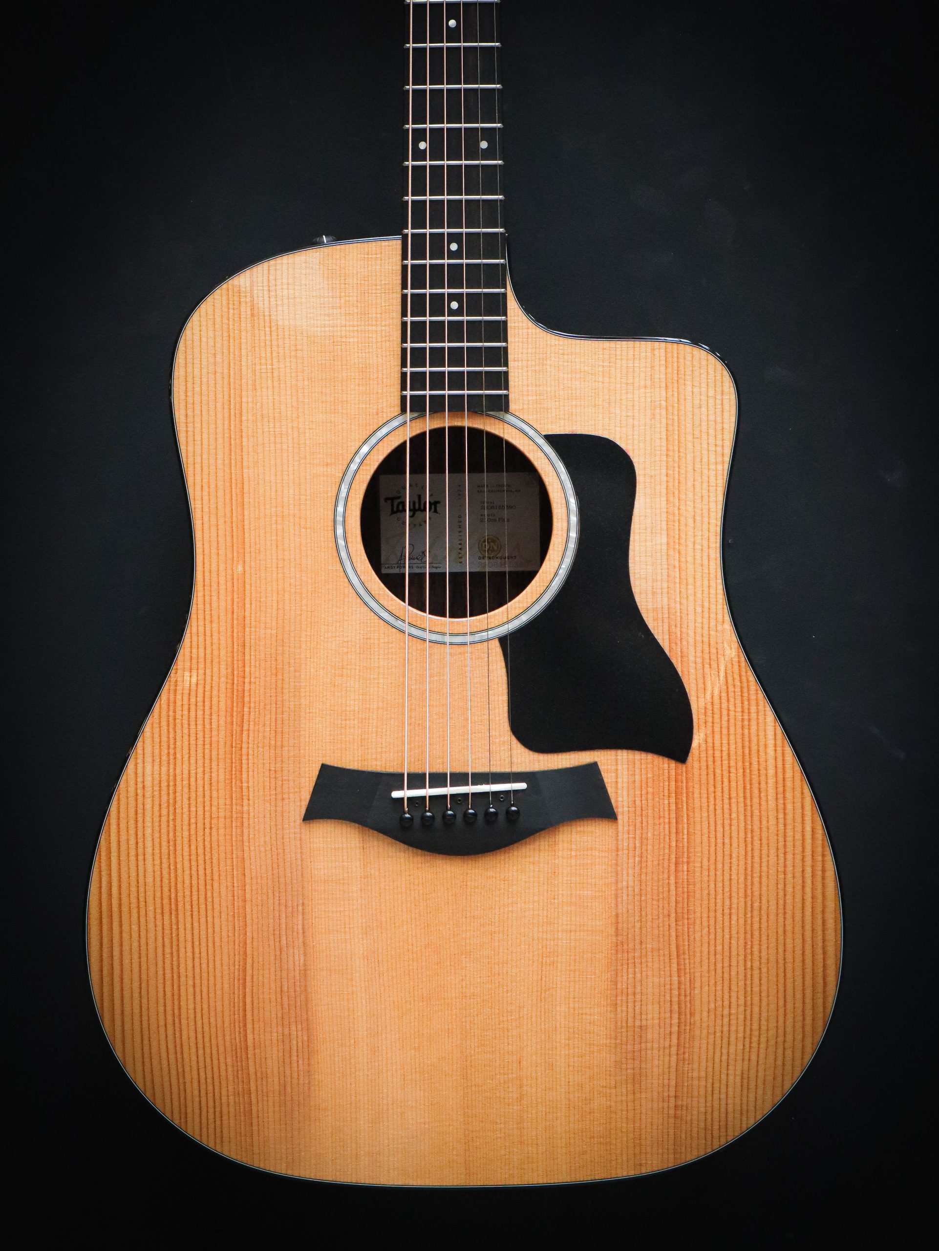 Taylor 210ce Plus - Image 3