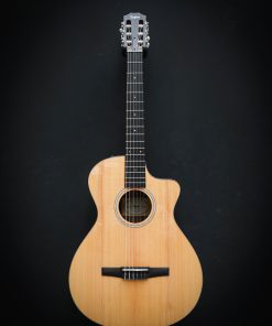 Alternative view of Taylor 212ce-N Plus