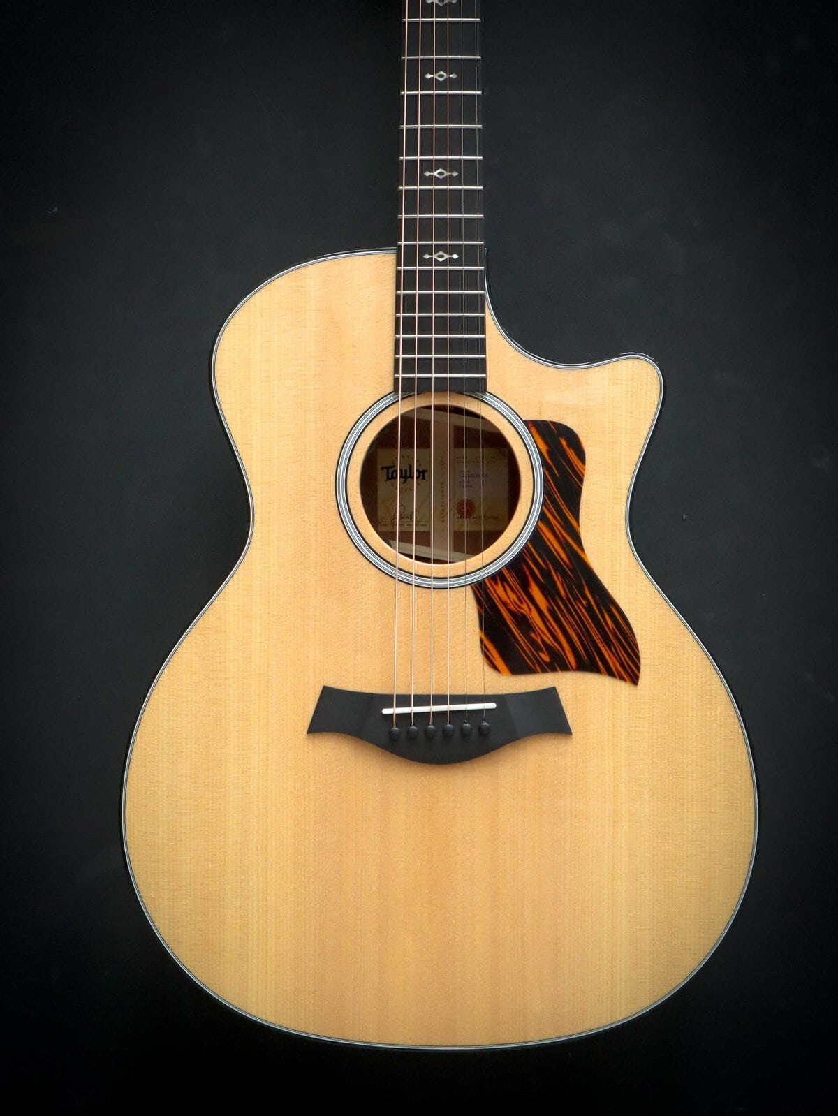 Taylor 314ce Next Generation - Image 3