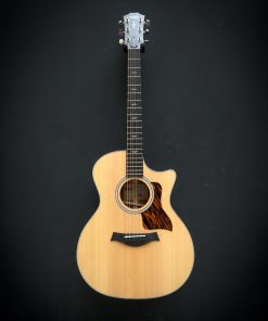 Alternative view of Taylor 314ce Next Generation