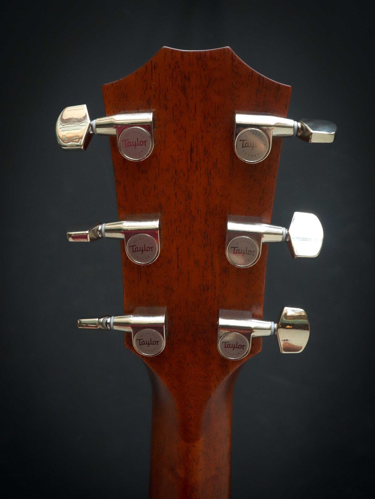 Taylor 314ce Next Generation - Image 11