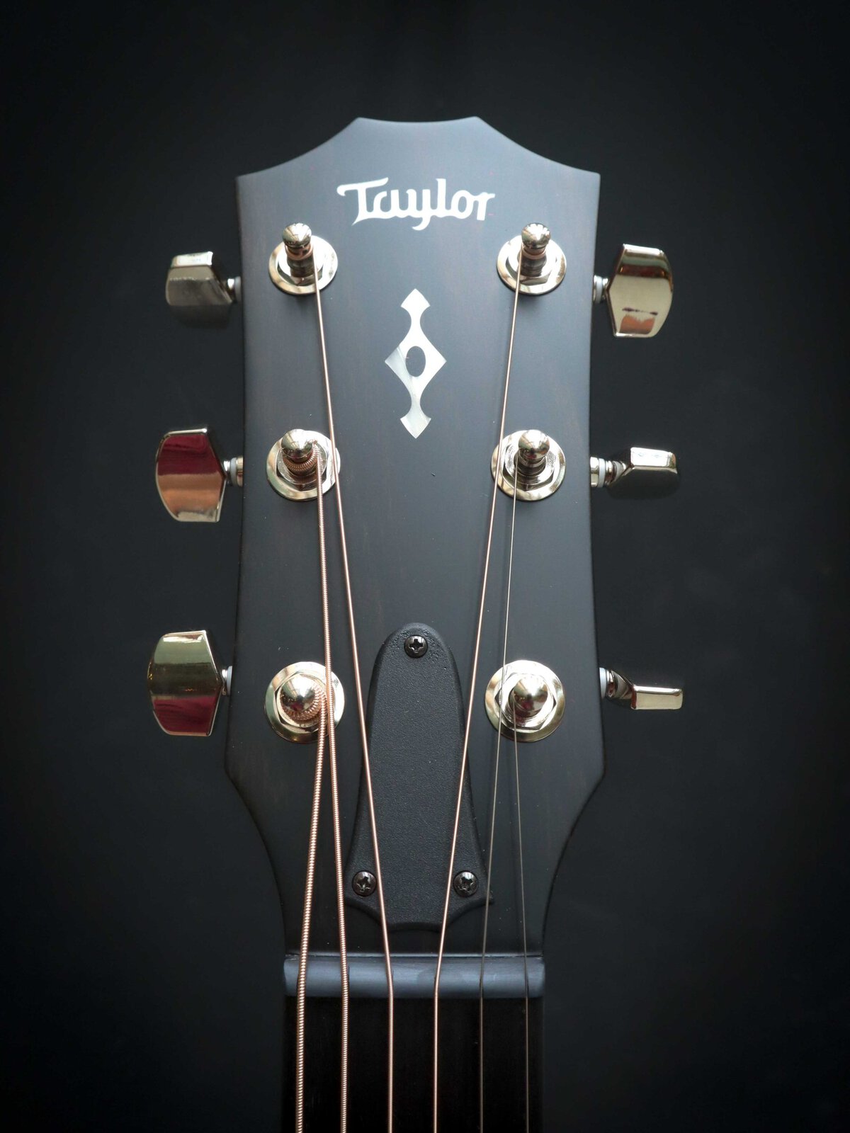 Taylor 314ce Next Generation - Image 10