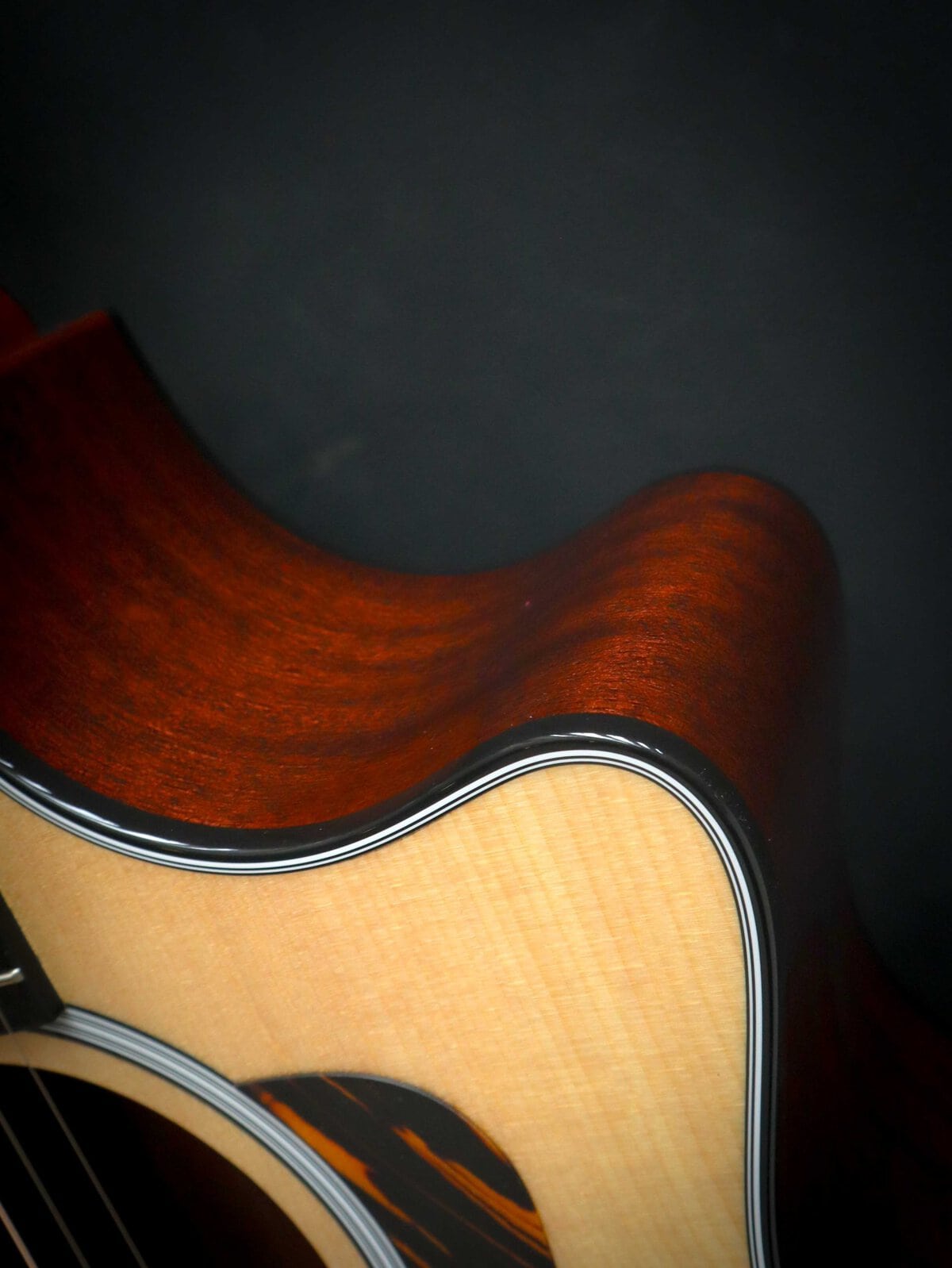 Taylor 314ce Next Generation - Image 9
