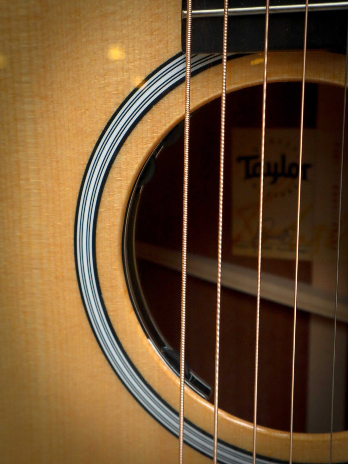 Taylor 314ce Next Generation - Image 7