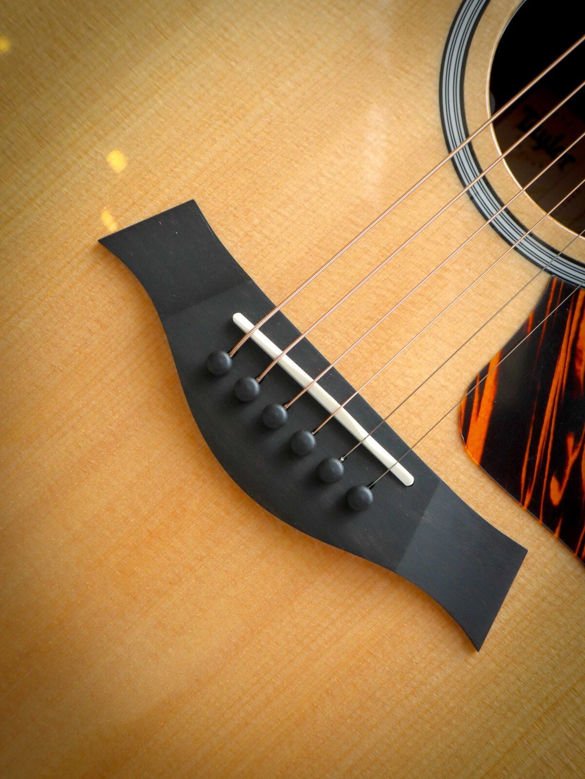 Taylor 314ce Next Generation - Image 6