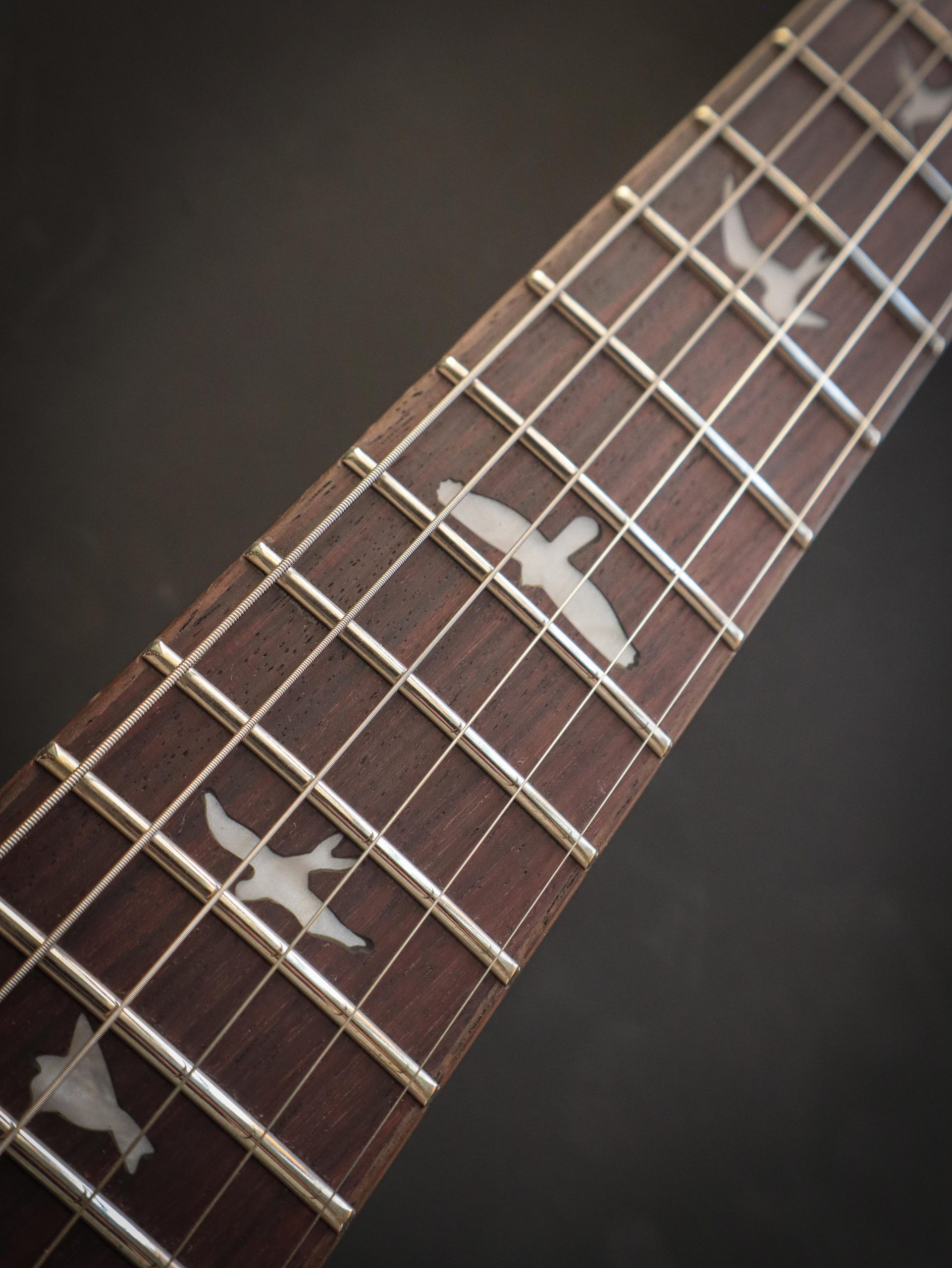 PRS SE Custom 24 Slate Blue - Image 9