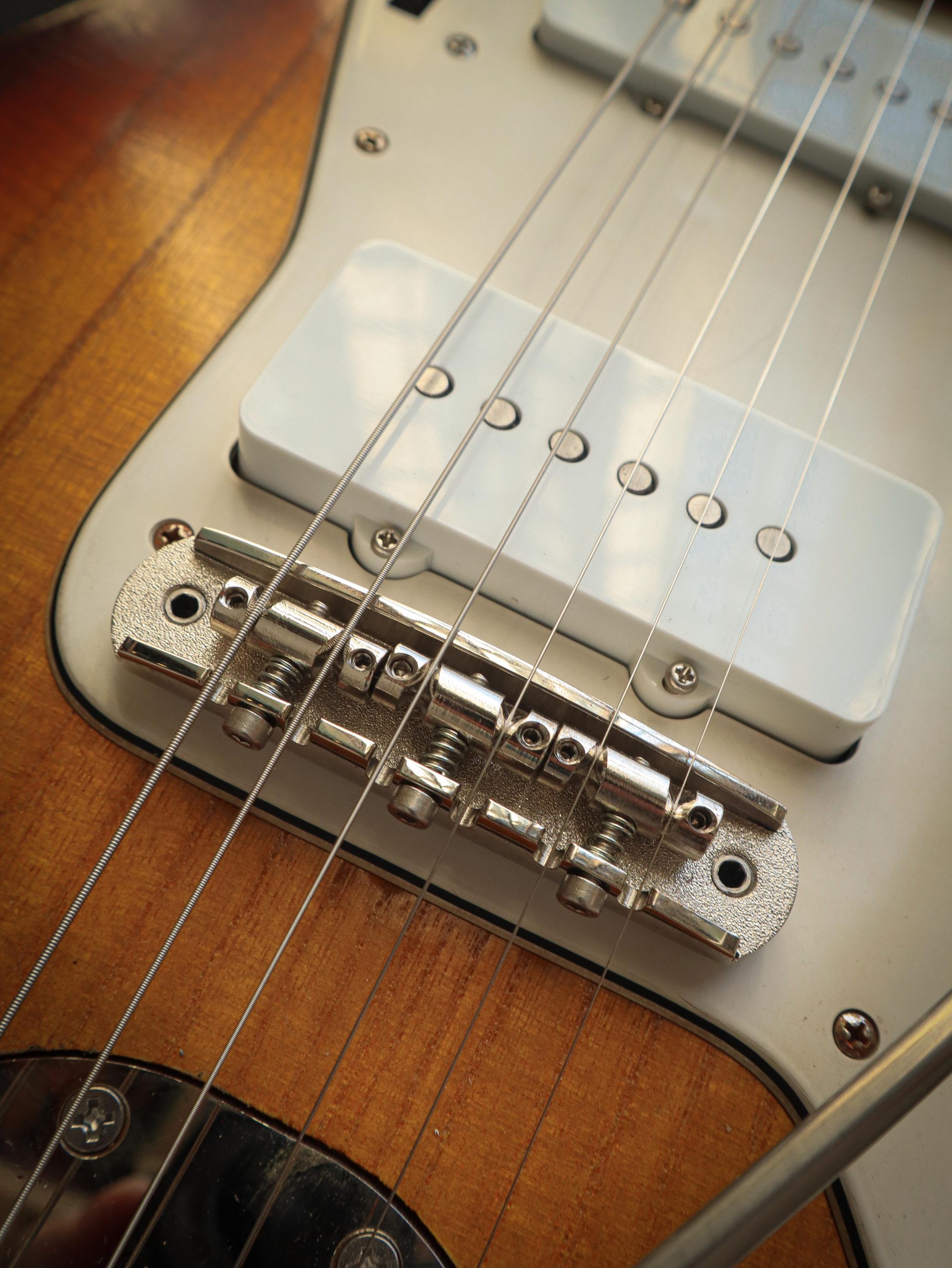 Kauffmann '63 JM Chocolate Sunburst - Image 9