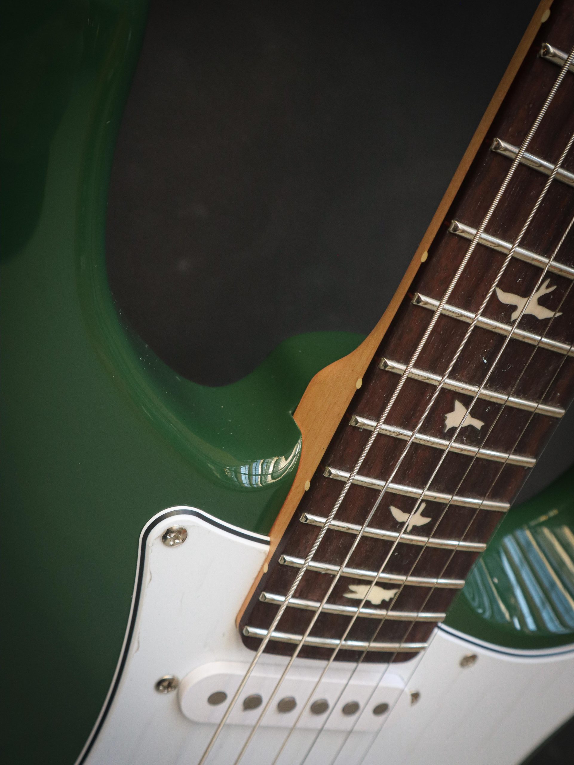 PRS John Mayer Silver Sky SE Laurel Green - Image 6