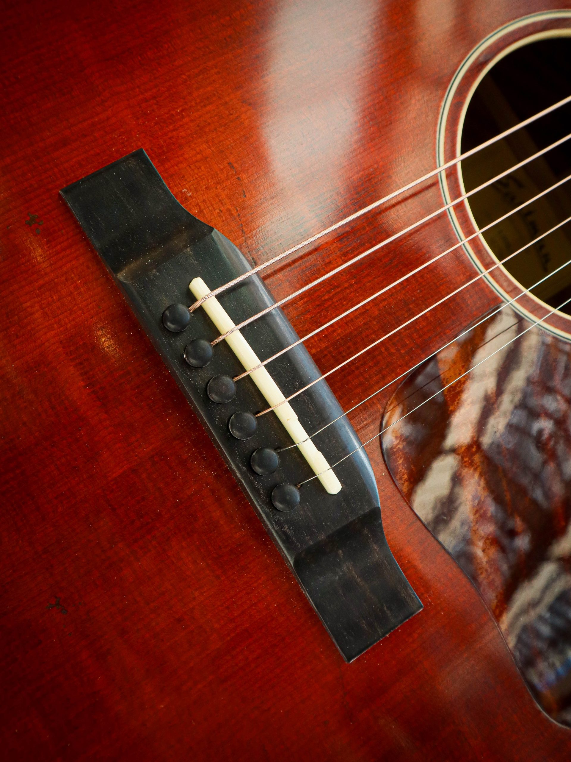 Eastman E10 SS/v - Image 11