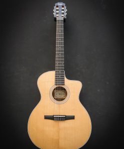 Alternative view of Taylor 214ce-N