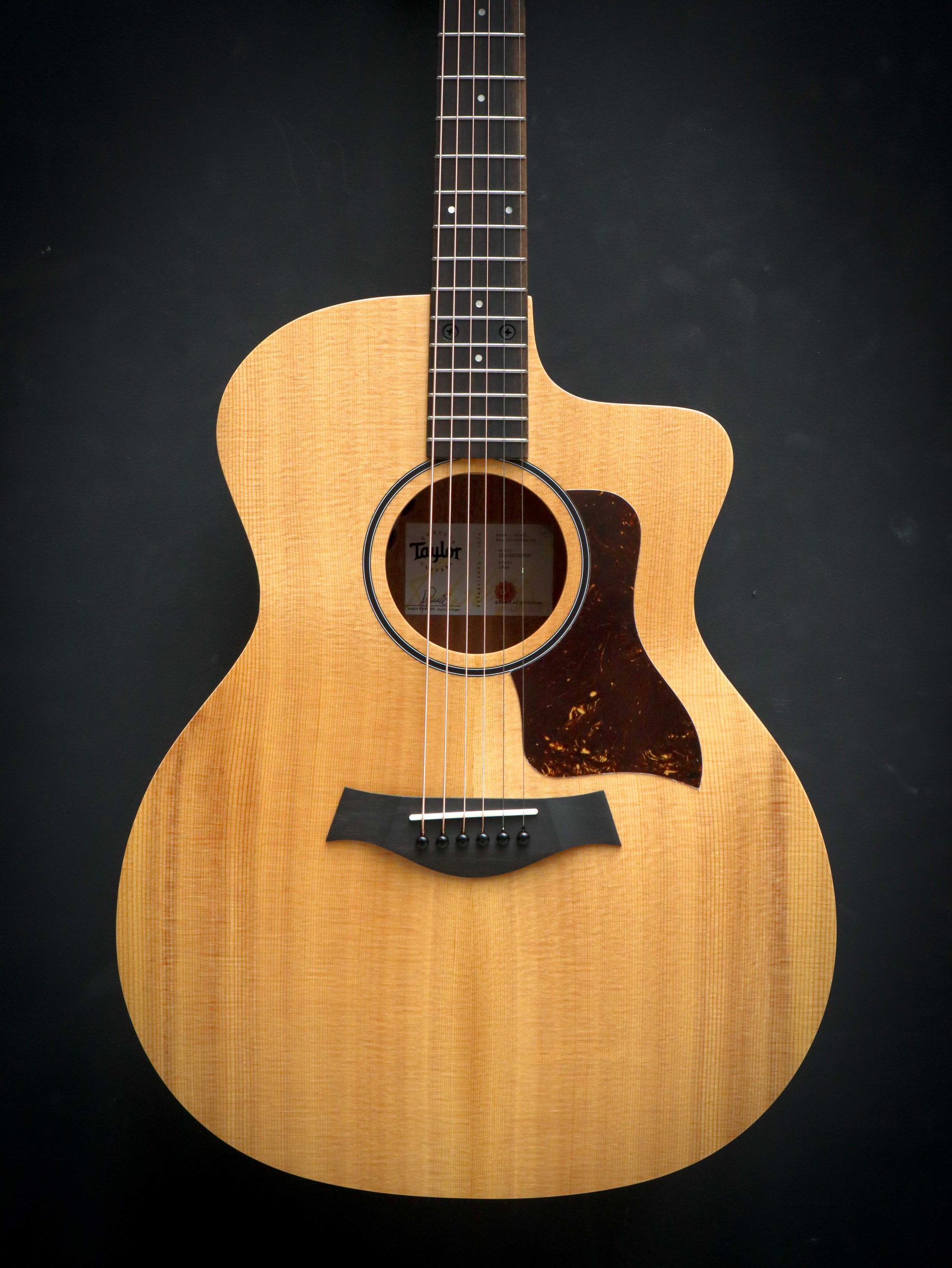 Taylor 14ce - Image 3