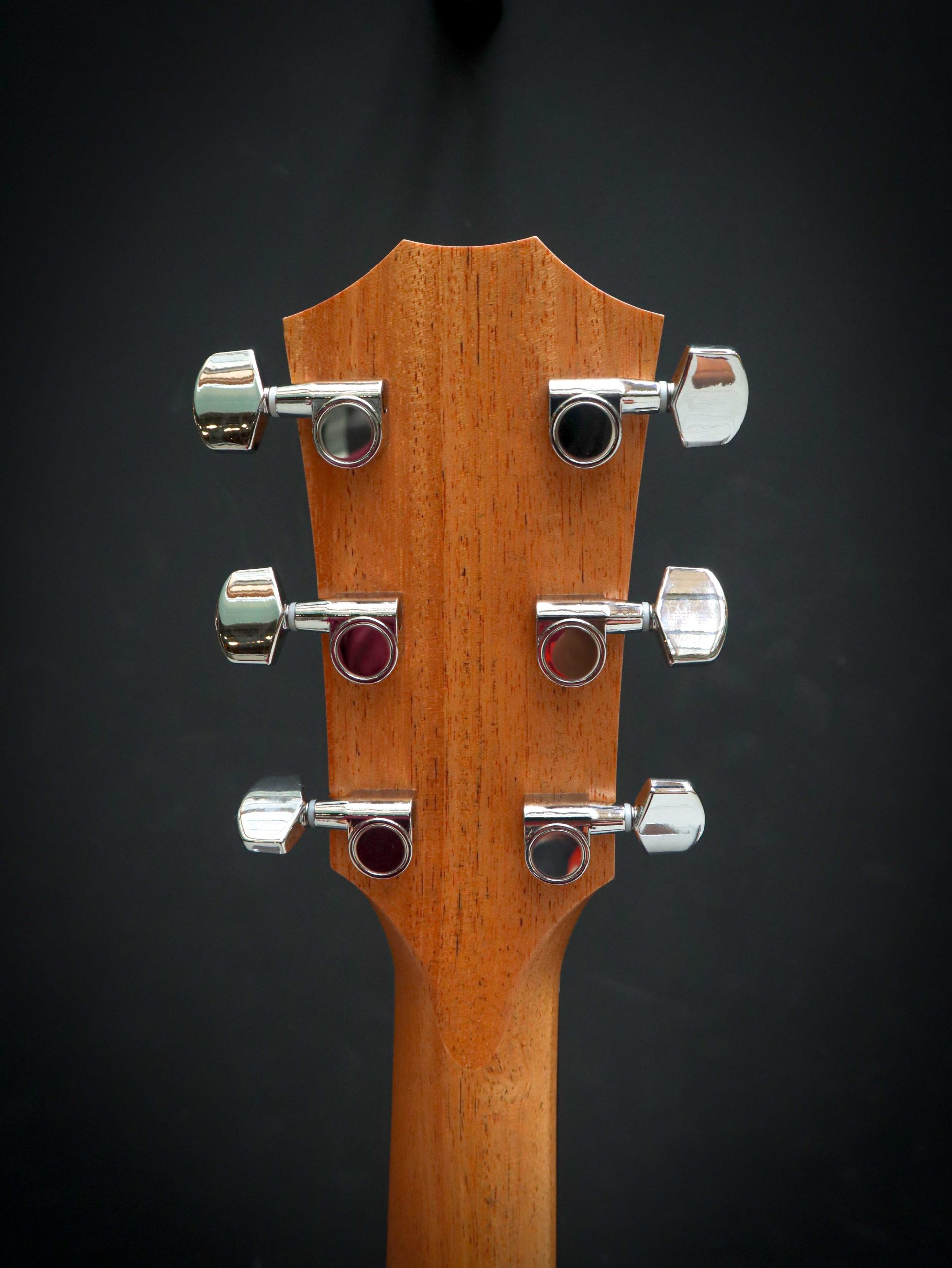 Taylor 210ce - Image 10