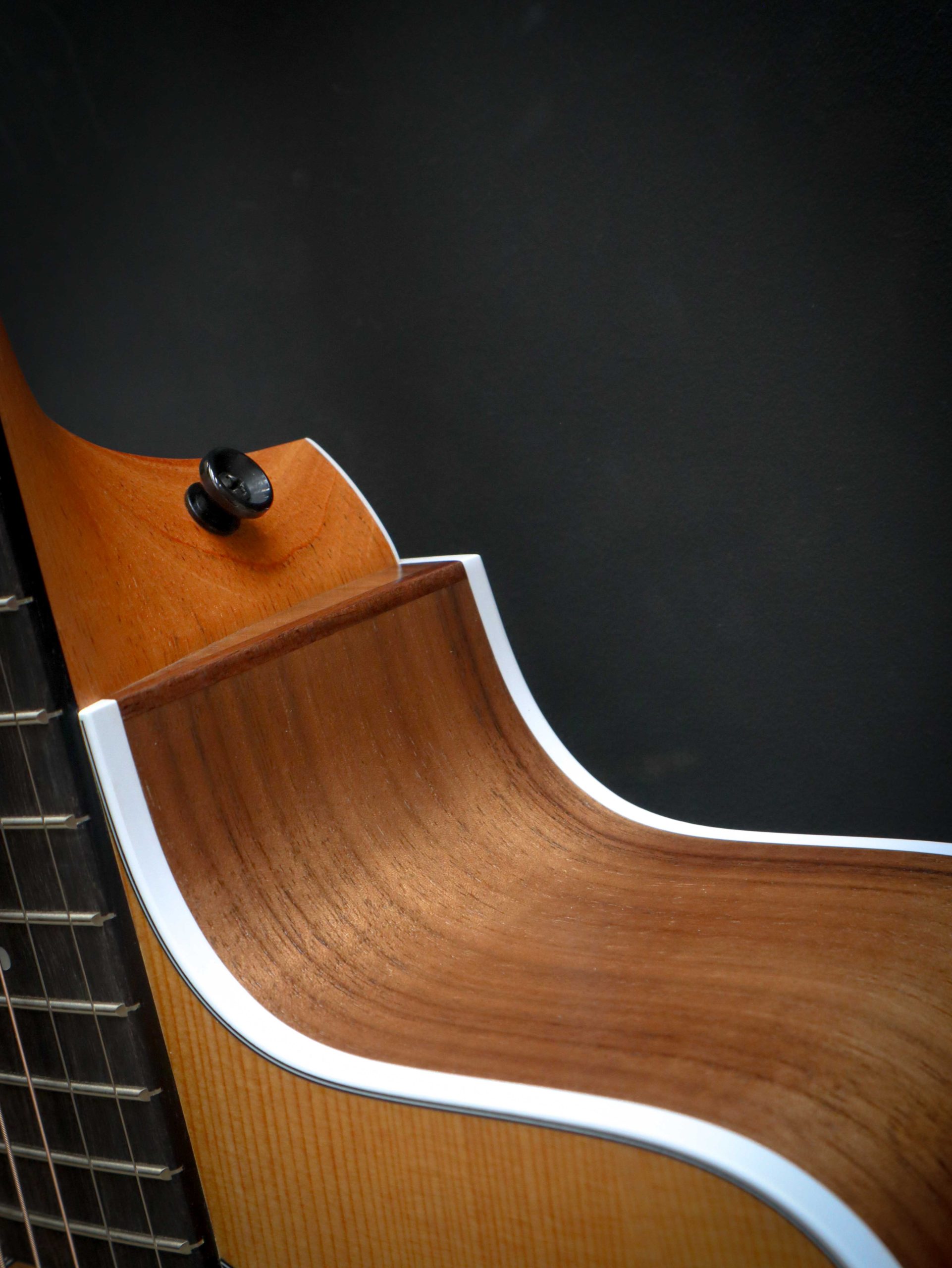 Taylor 210ce - Image 8