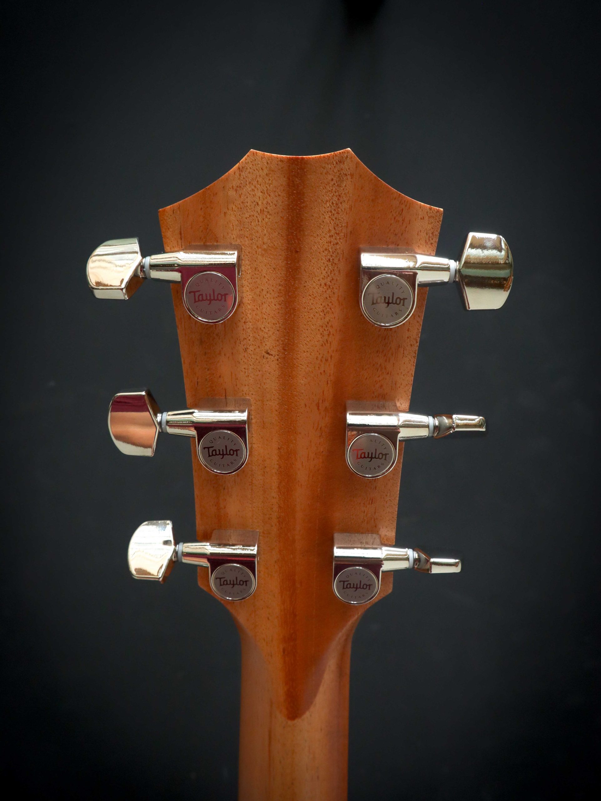 Taylor 214ce Plus - Image 10