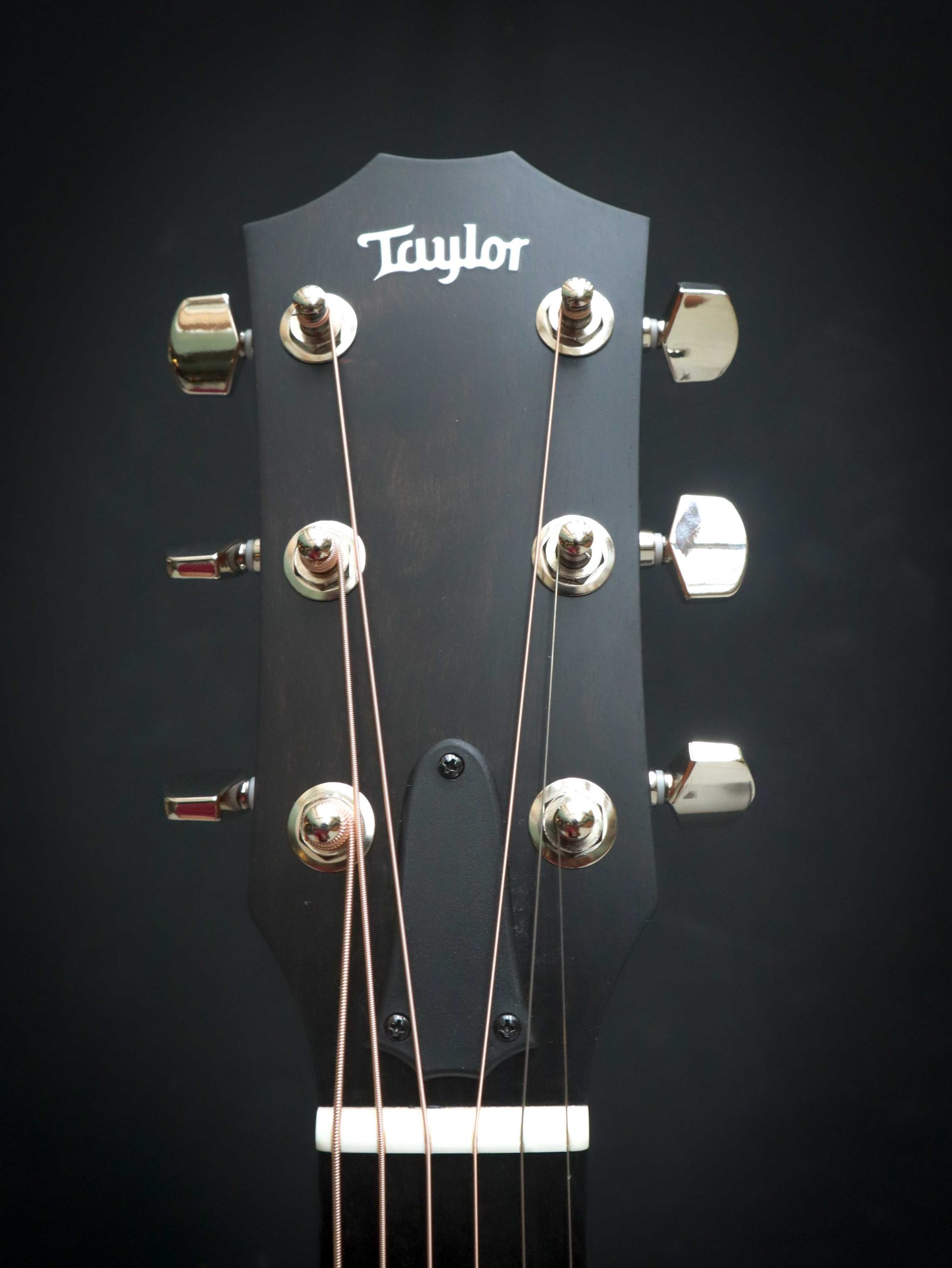 Taylor 214ce Plus - Image 9