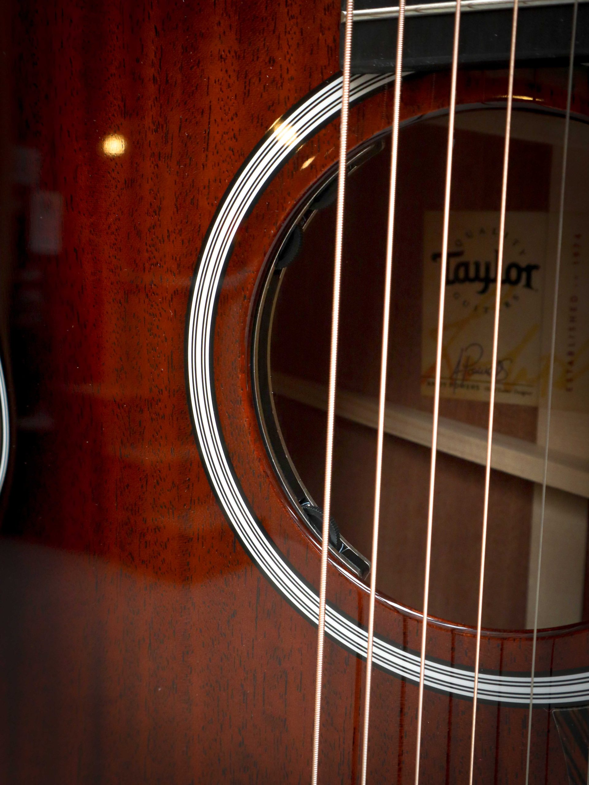 Taylor 324ce Next Generation - Image 8