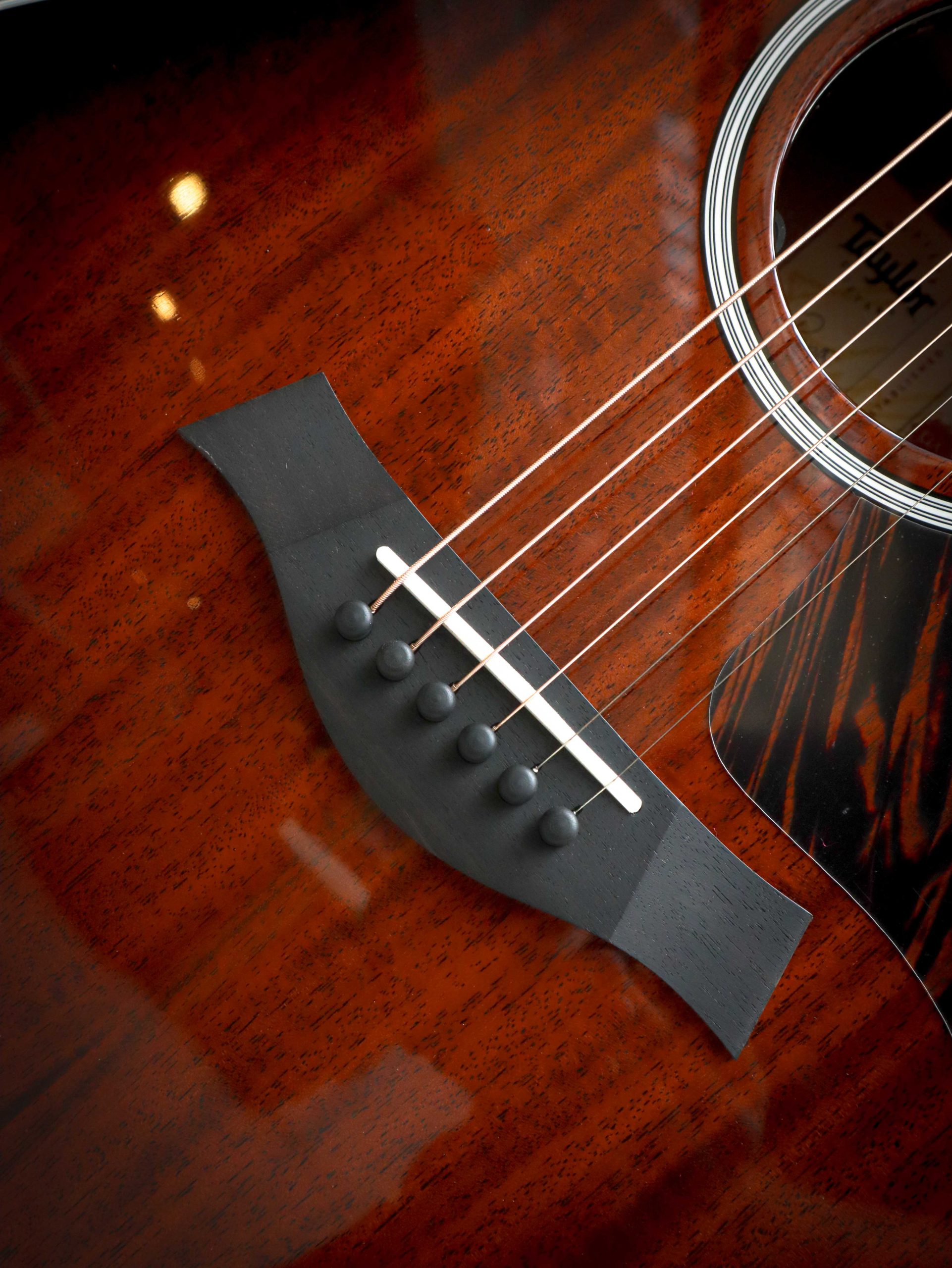 Taylor 324ce Next Generation - Image 7
