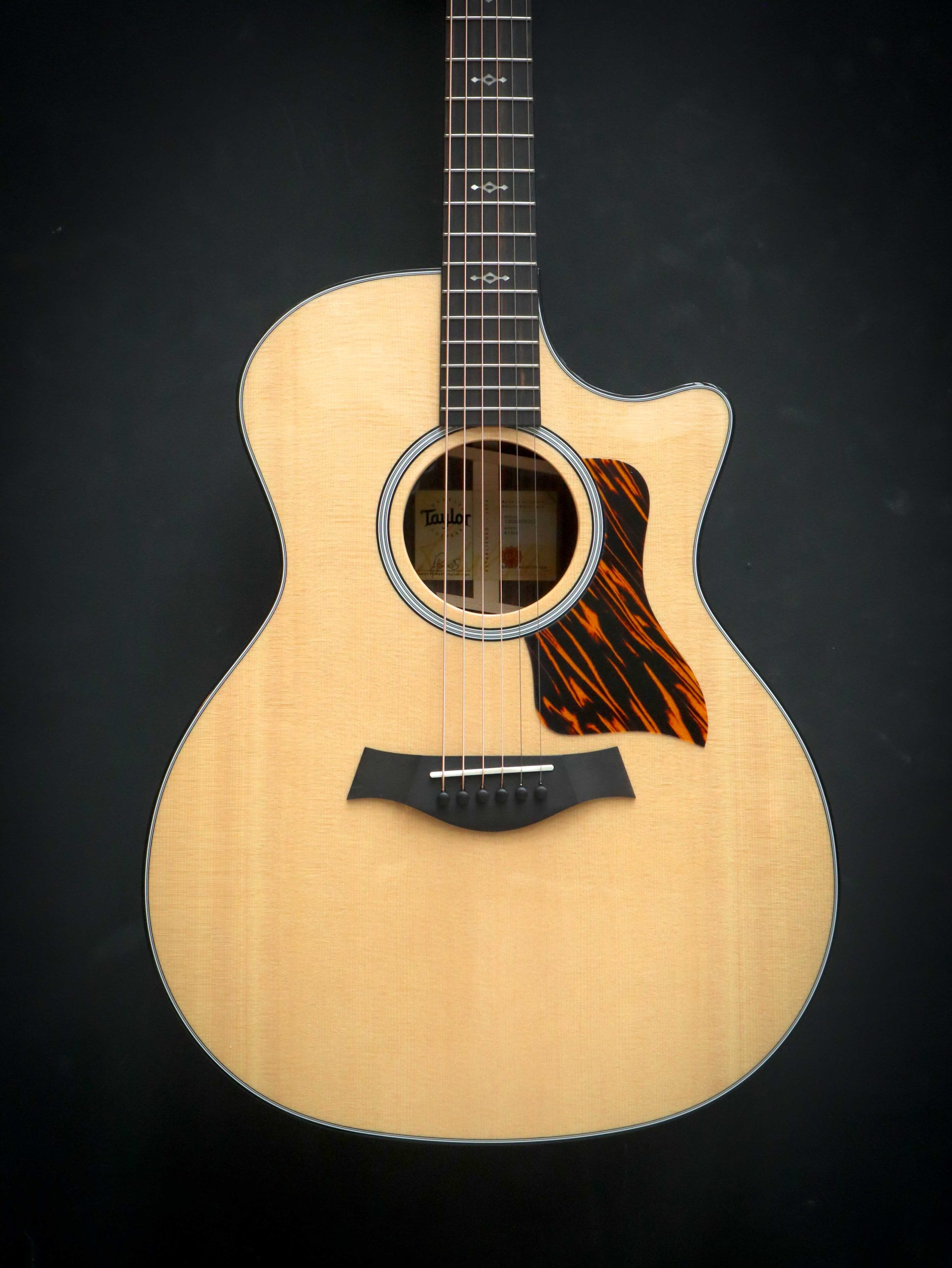 Taylor 414ce Next Generation - Image 3