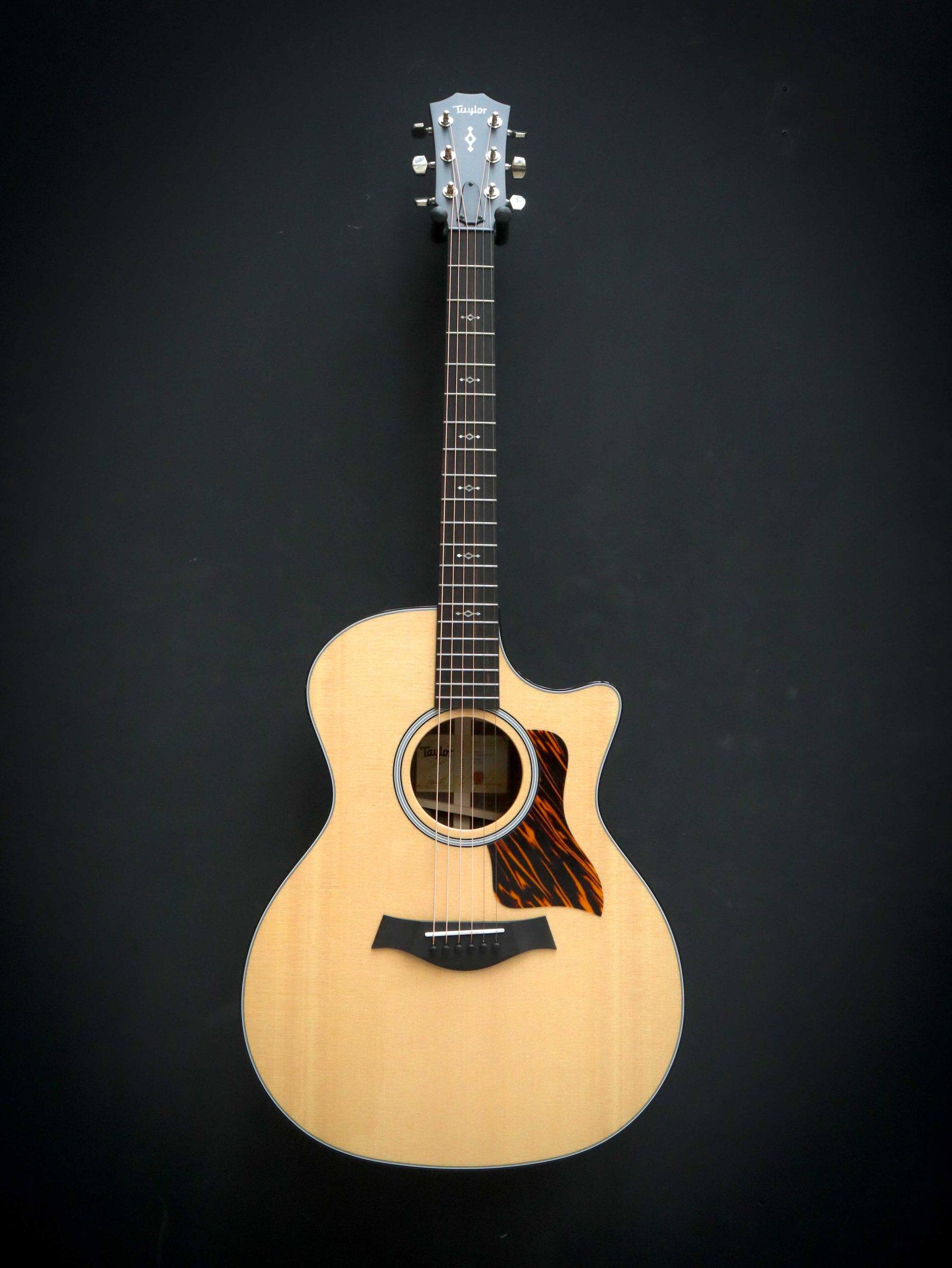 Taylor 414ce Next Generation - Image 2