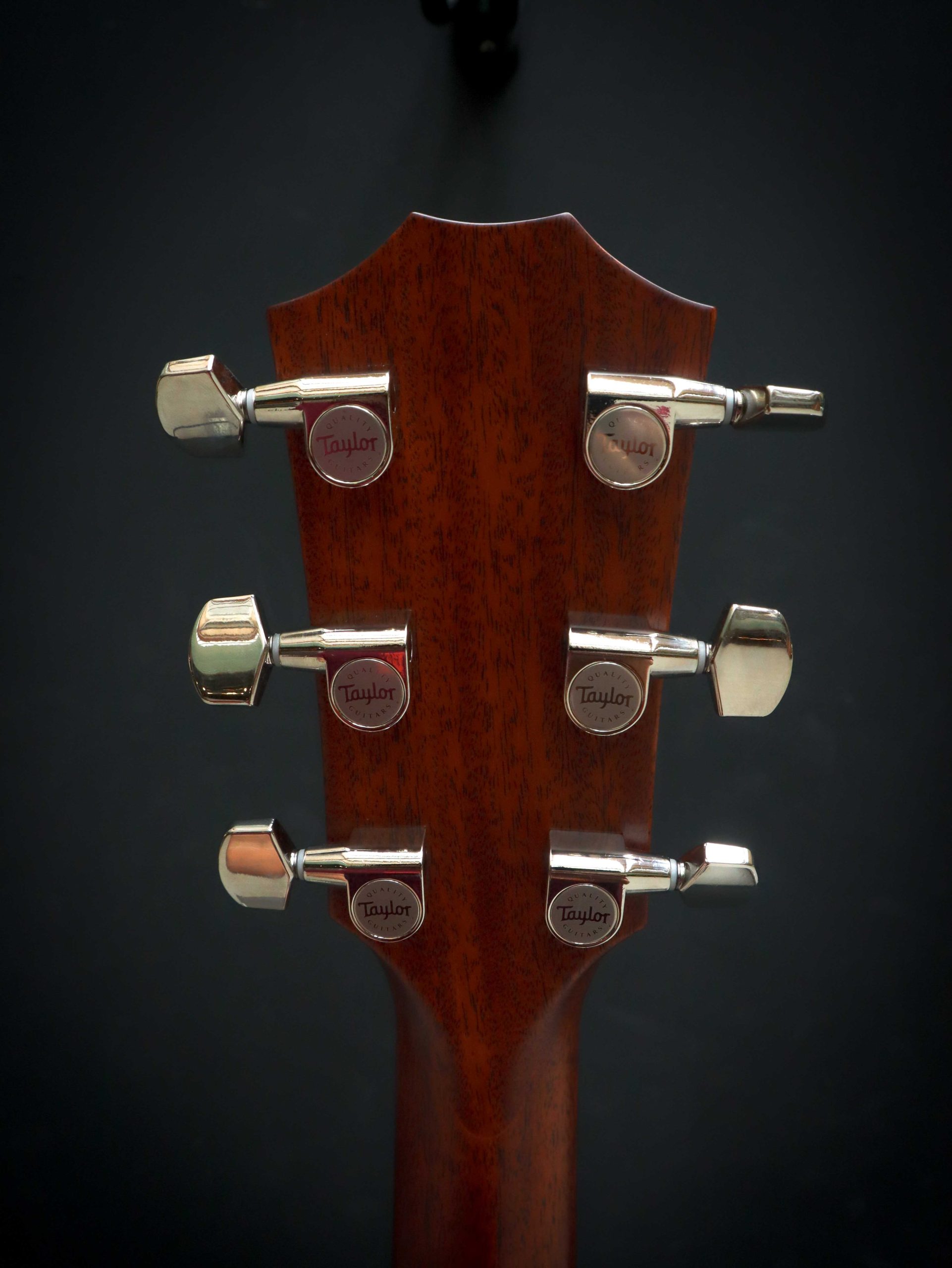 Taylor 414ce Next Generation - Image 11