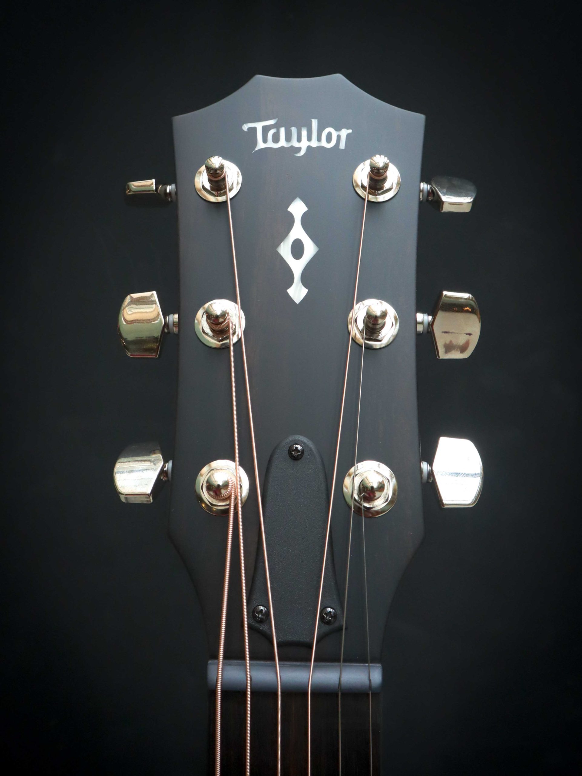 Taylor 414ce Next Generation - Image 10
