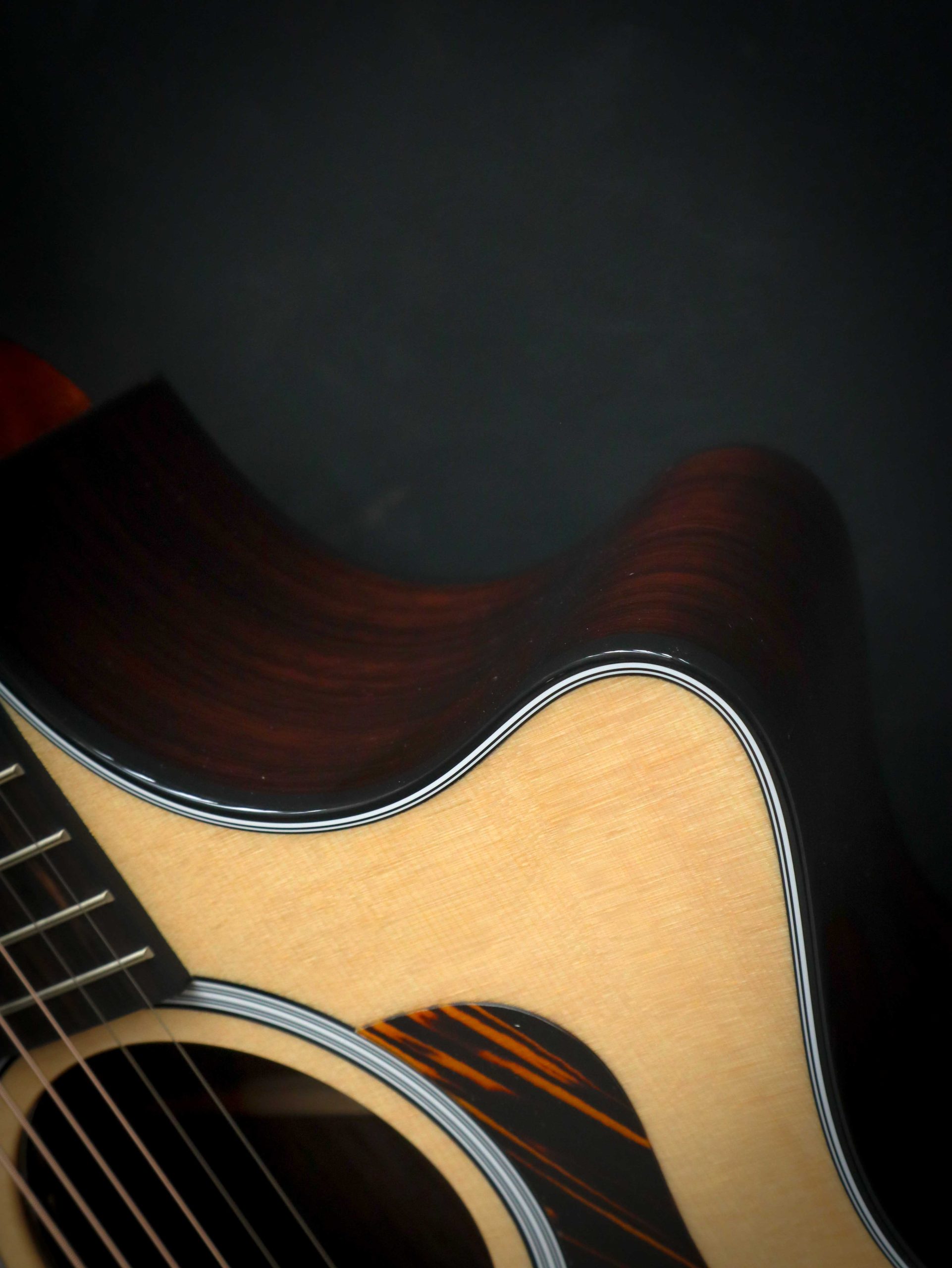 Taylor 414ce Next Generation - Image 9