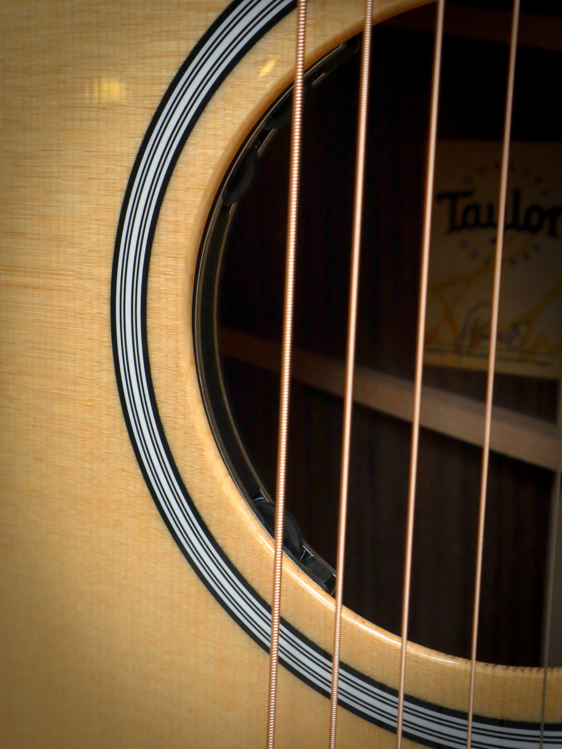 Taylor 414ce Next Generation - Image 7