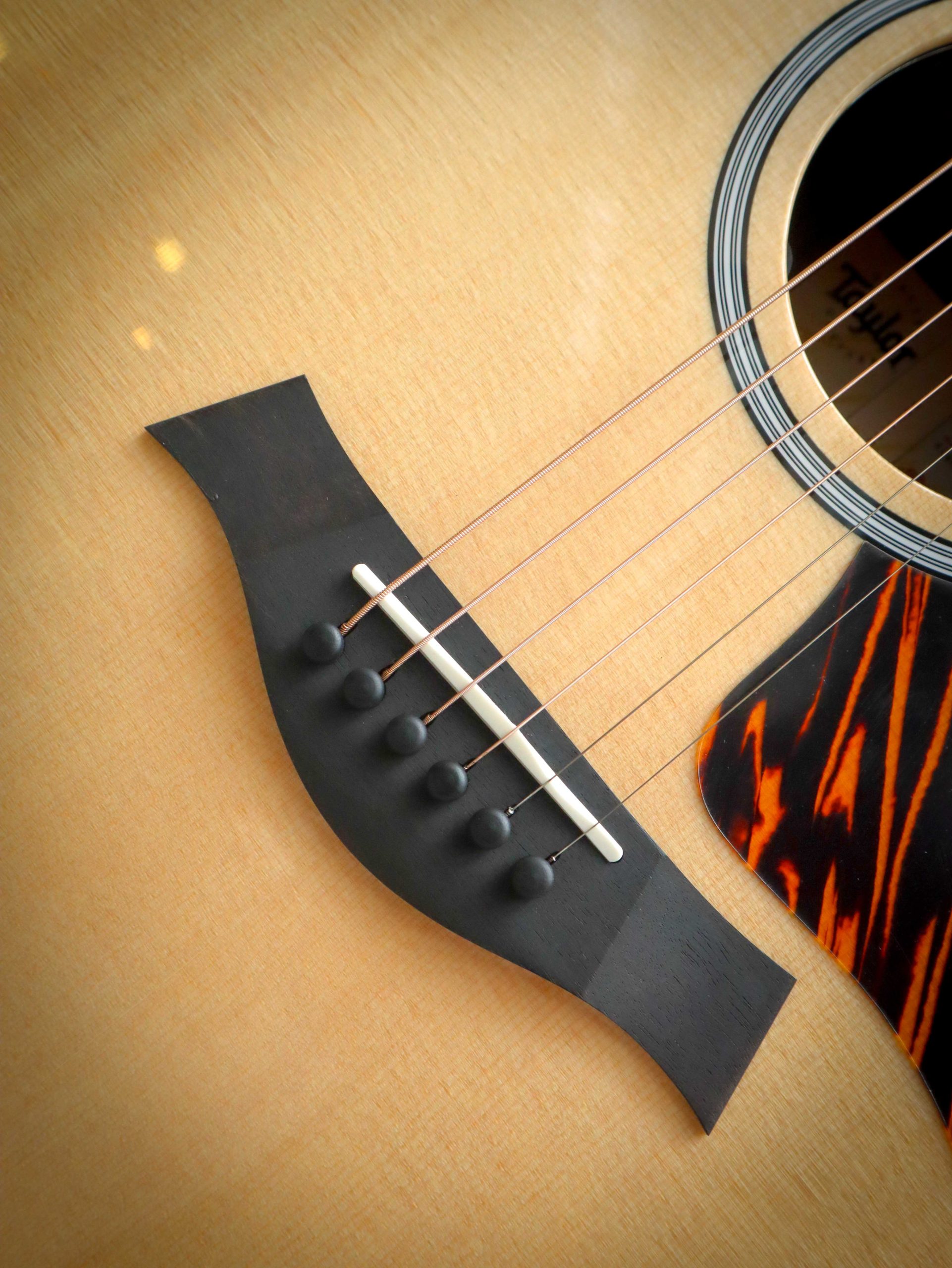 Taylor 414ce Next Generation - Image 6
