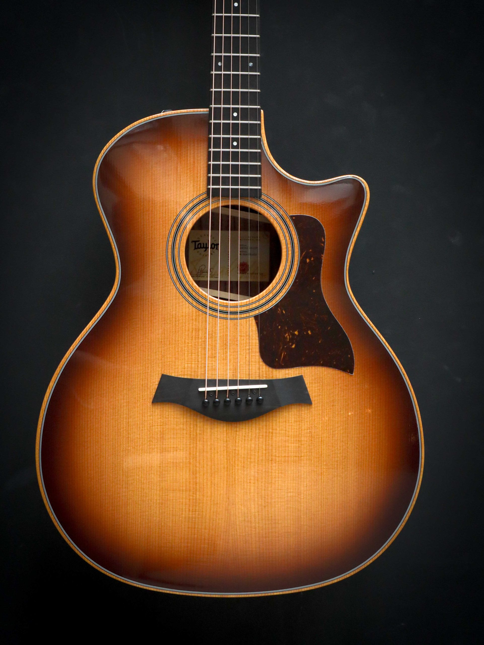 Taylor 414ce Studio - Image 3