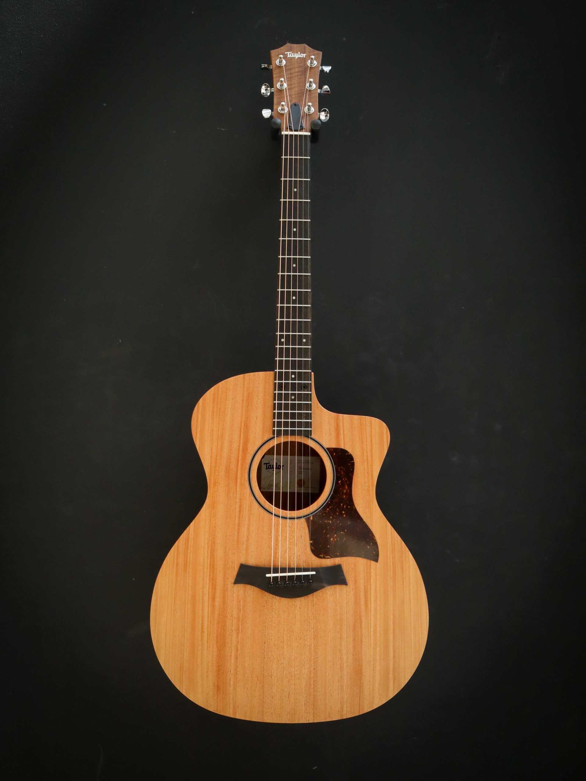 Taylor 24ce - Image 2