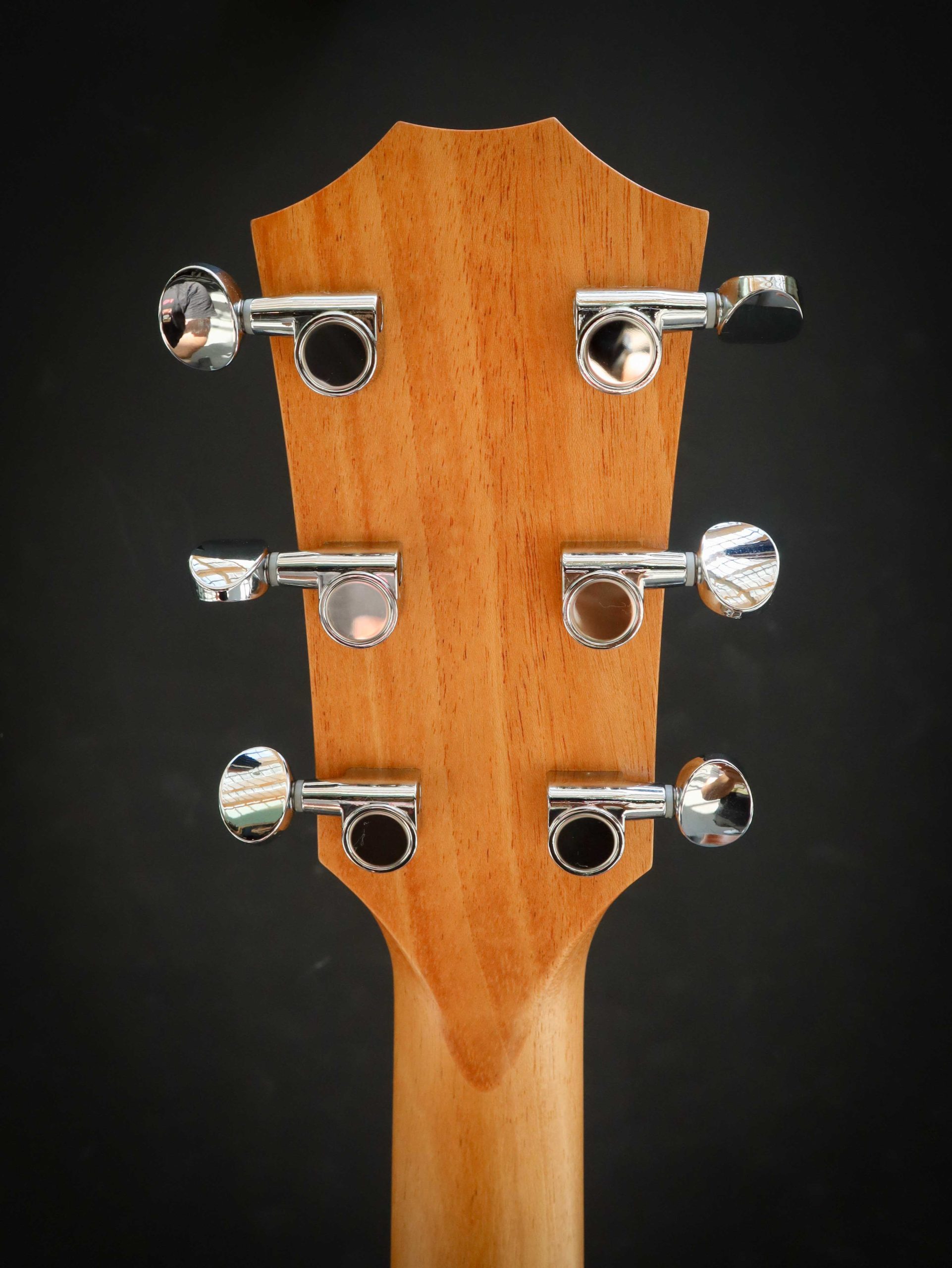 Taylor 24ce - Image 10