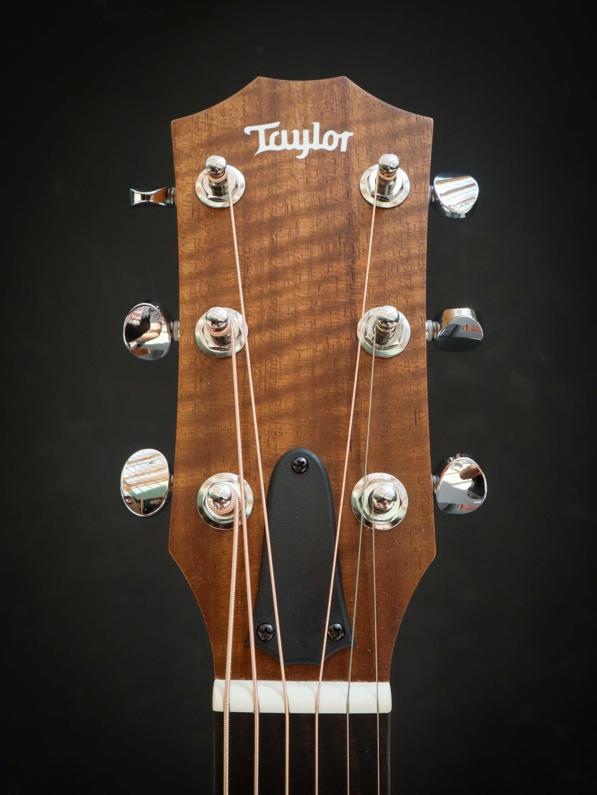 Taylor 24ce - Image 9