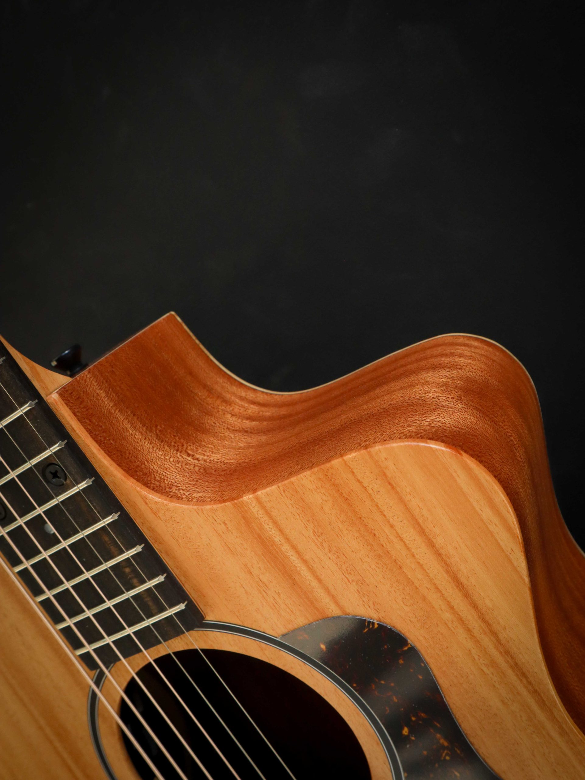 Taylor 24ce - Image 5