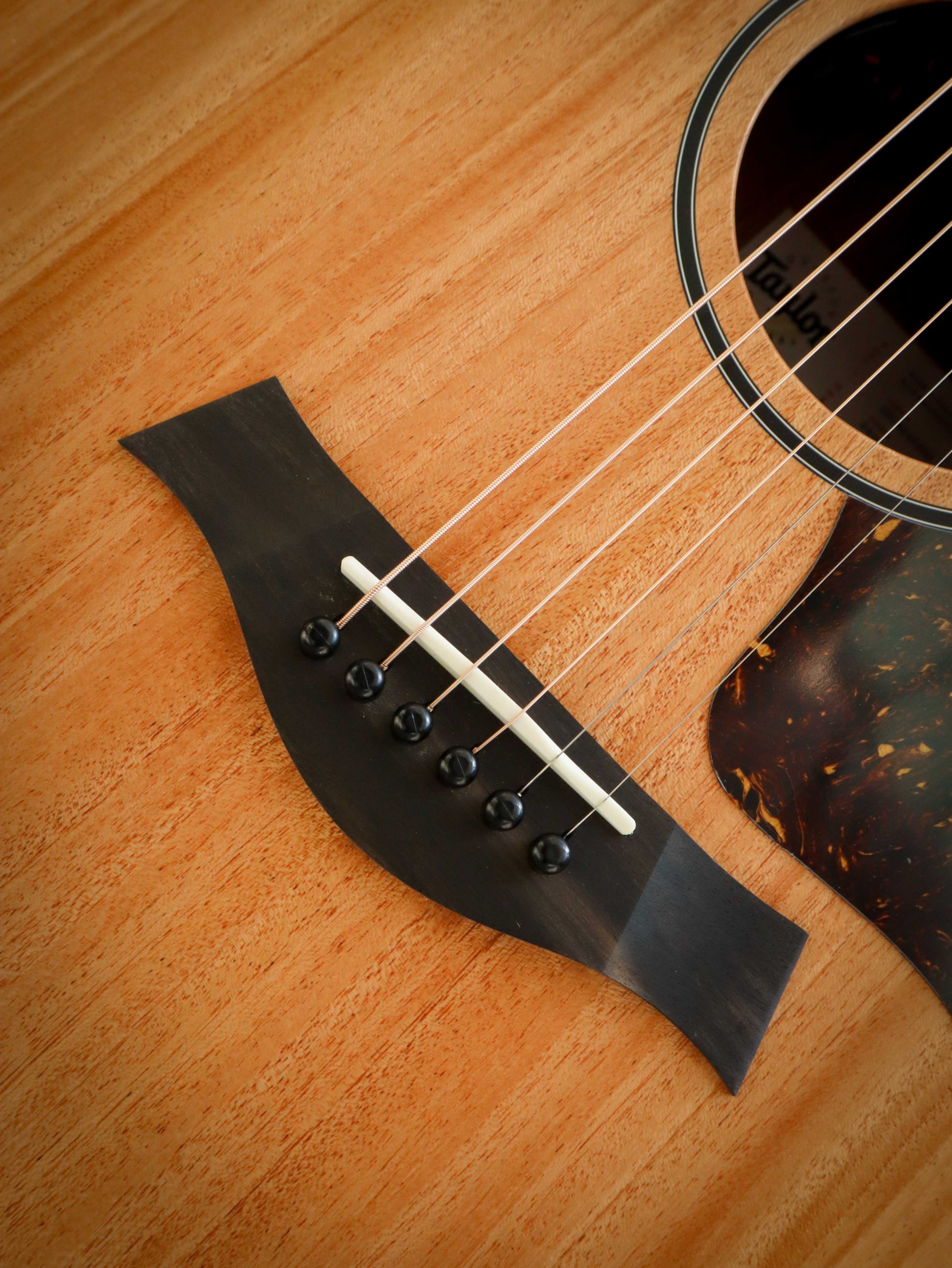 Taylor 24ce - Image 6