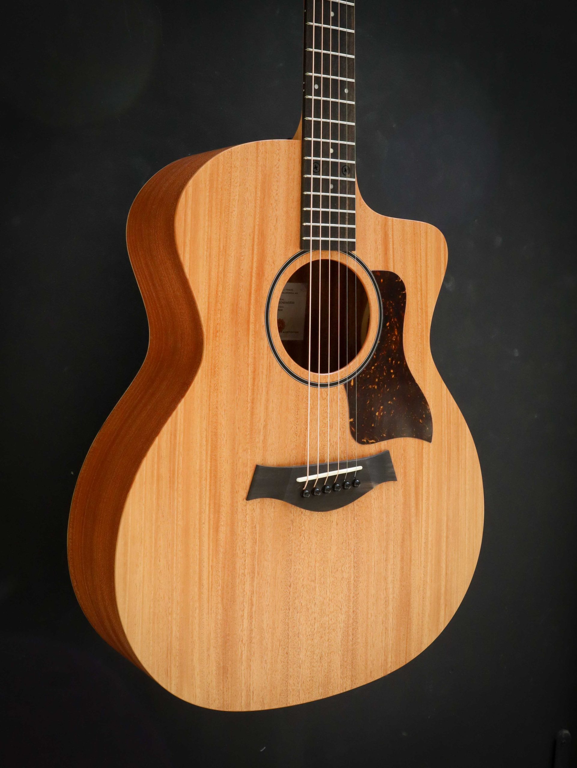 Taylor 24ce - Image 4