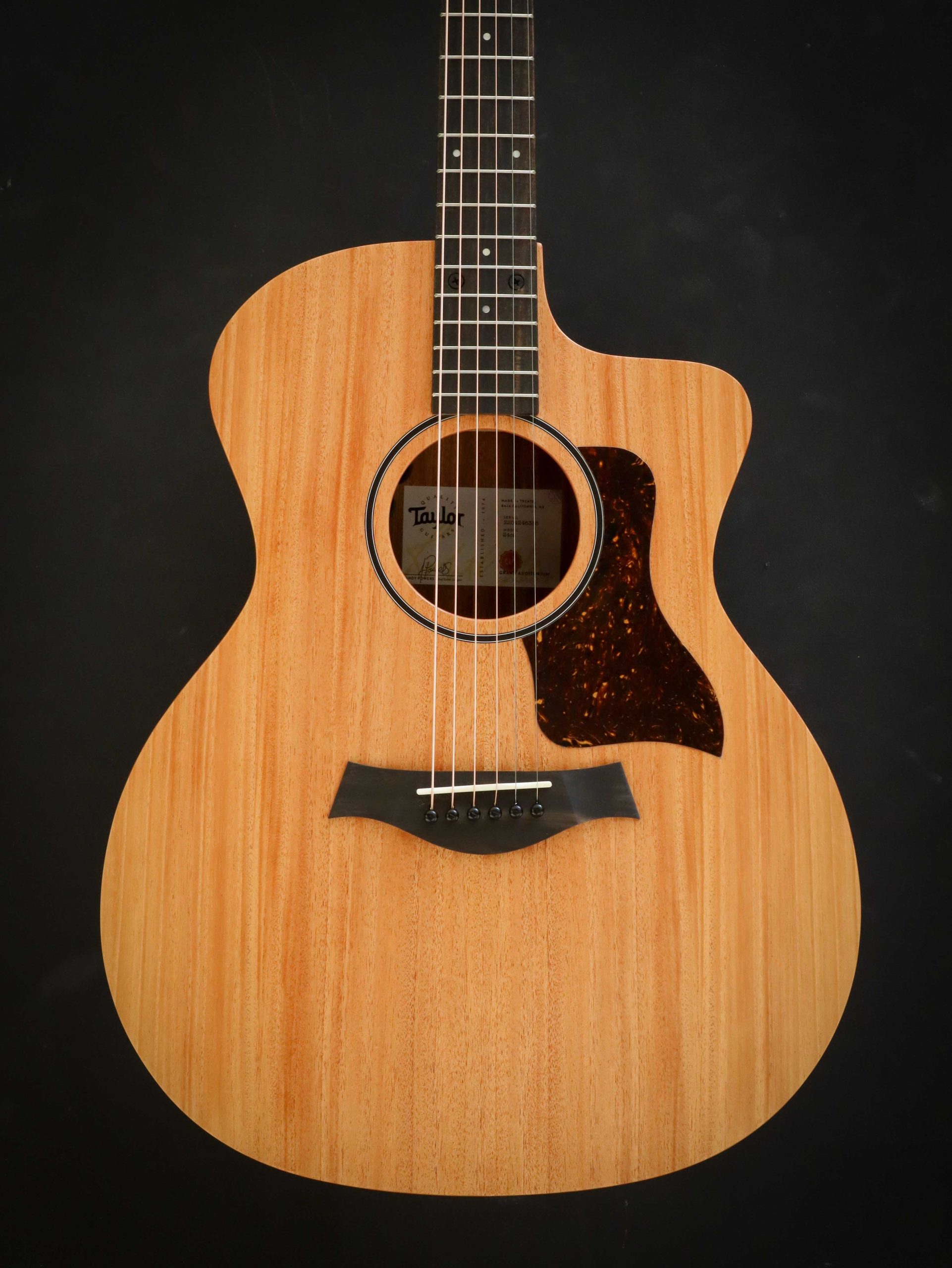 Taylor 24ce - Image 3