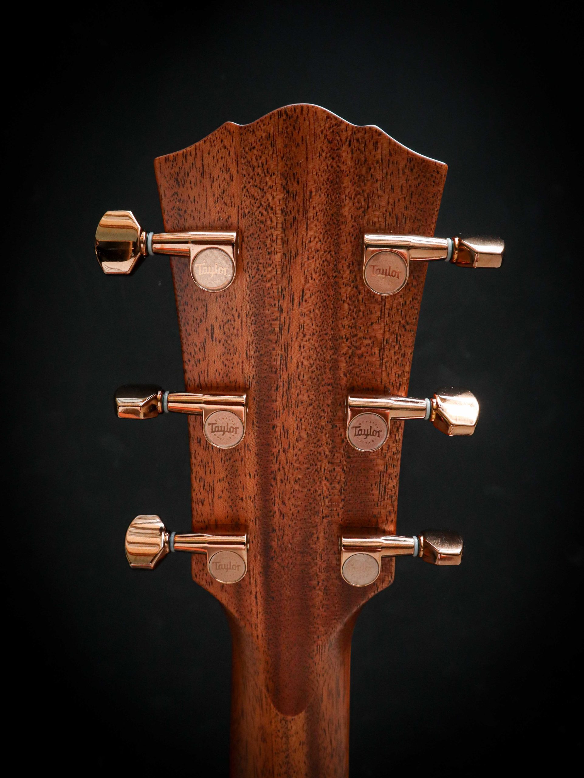 Taylor Ben Harper Gold Label 512e Special Edition - Image 12
