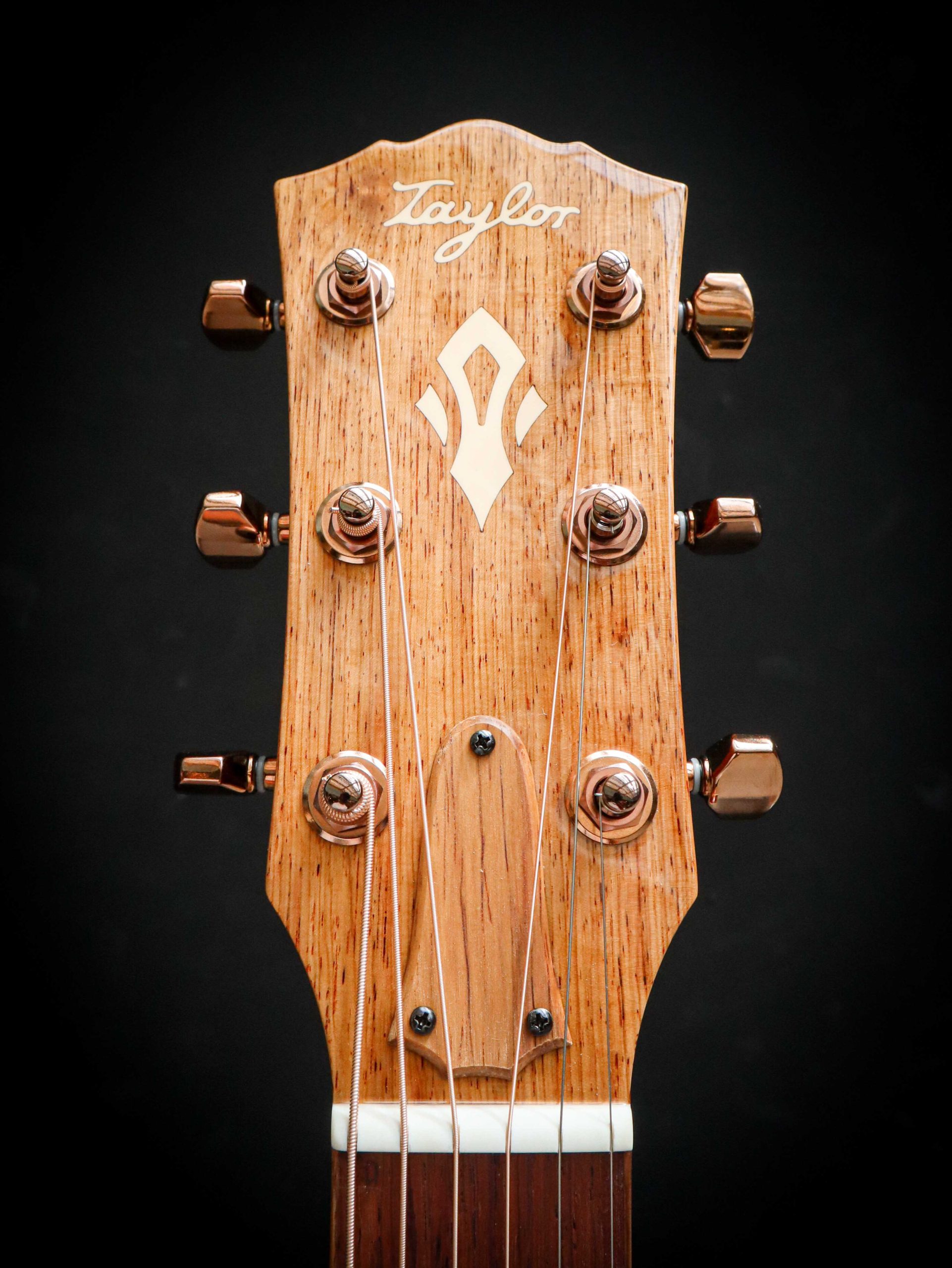Taylor Ben Harper Gold Label 512e Special Edition - Image 11