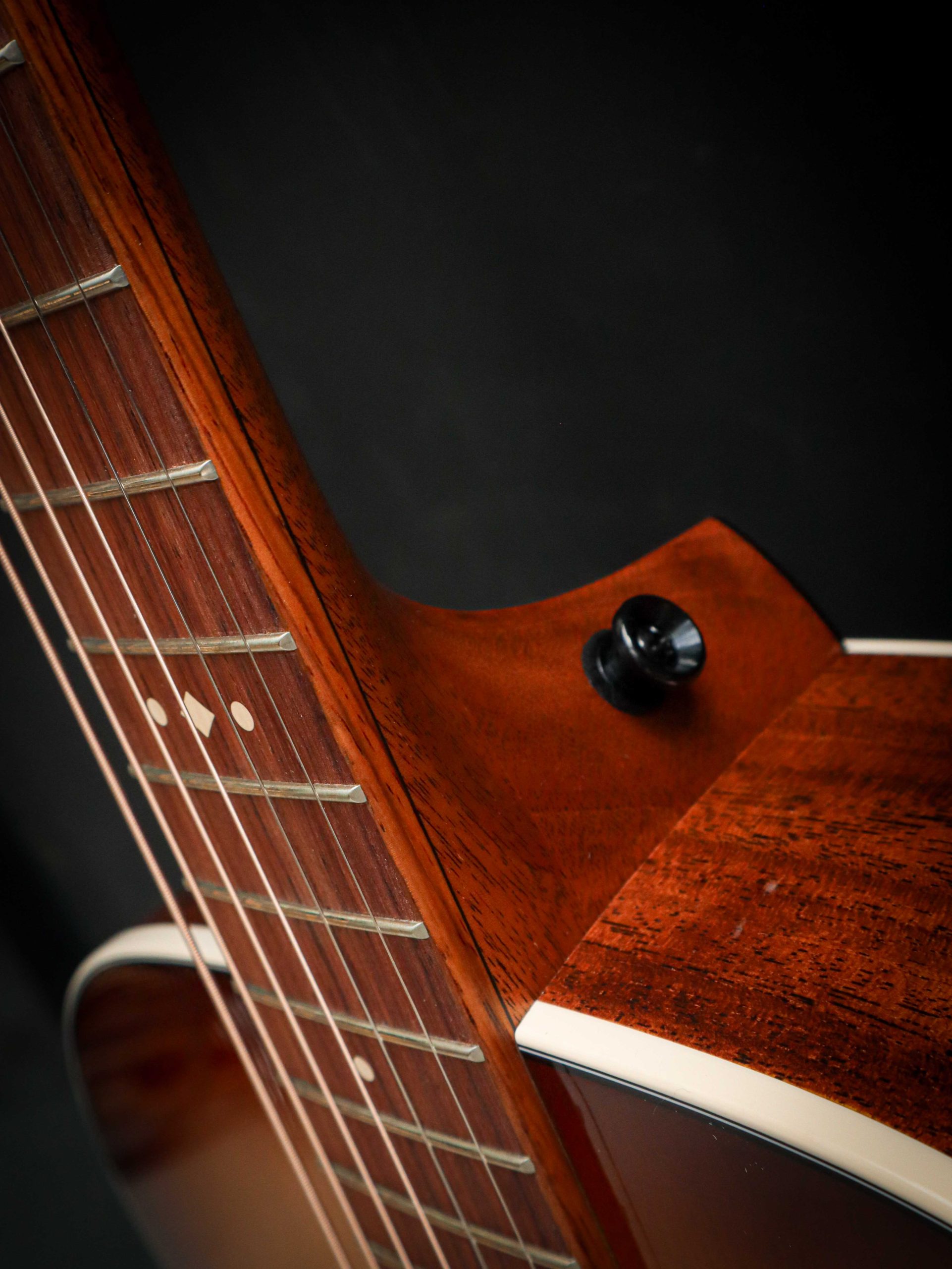 Taylor Ben Harper Gold Label 512e Special Edition - Image 7