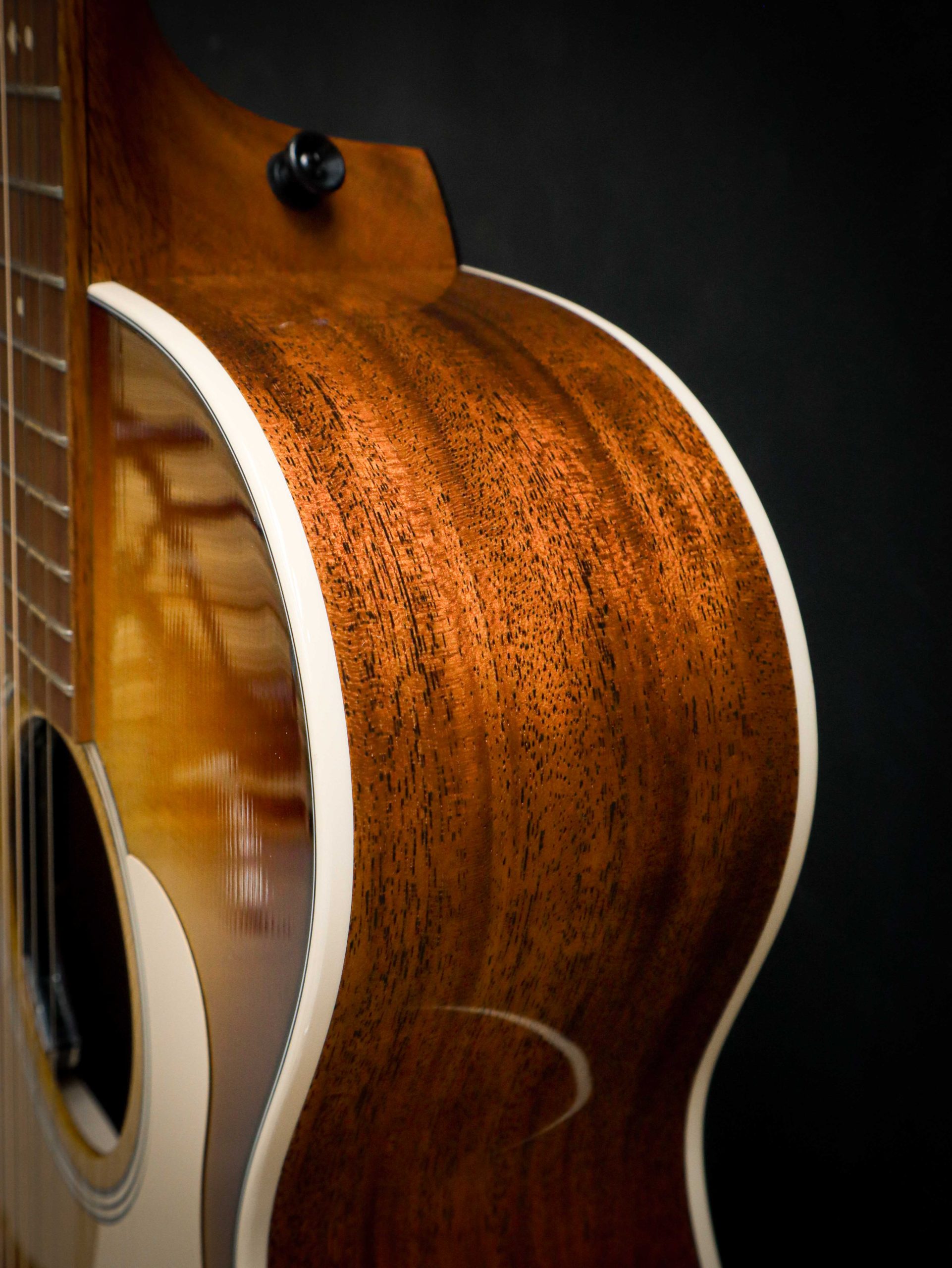 Taylor Ben Harper Gold Label 512e Special Edition - Image 8