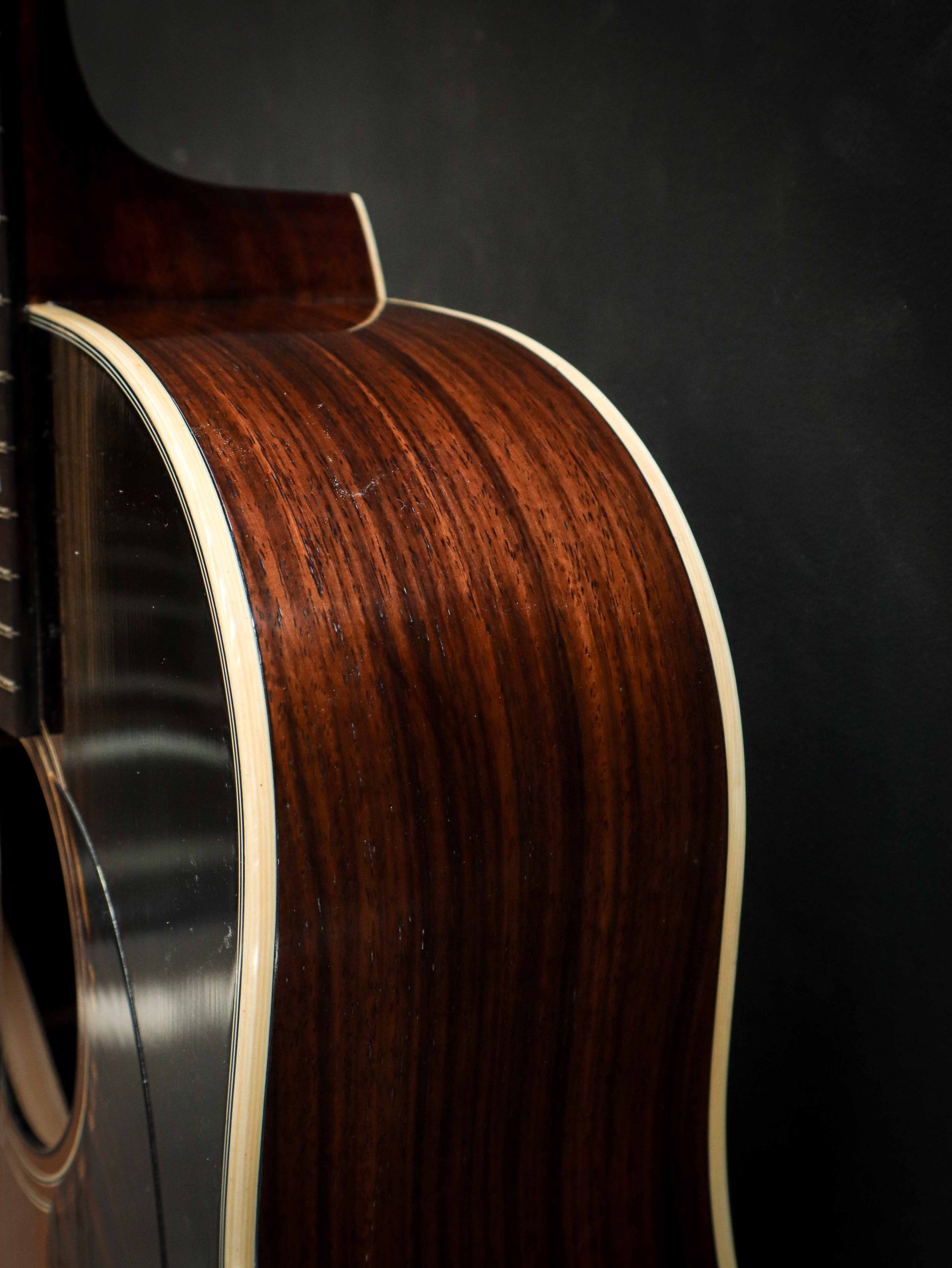 Eastman E22 SS/v - Image 10