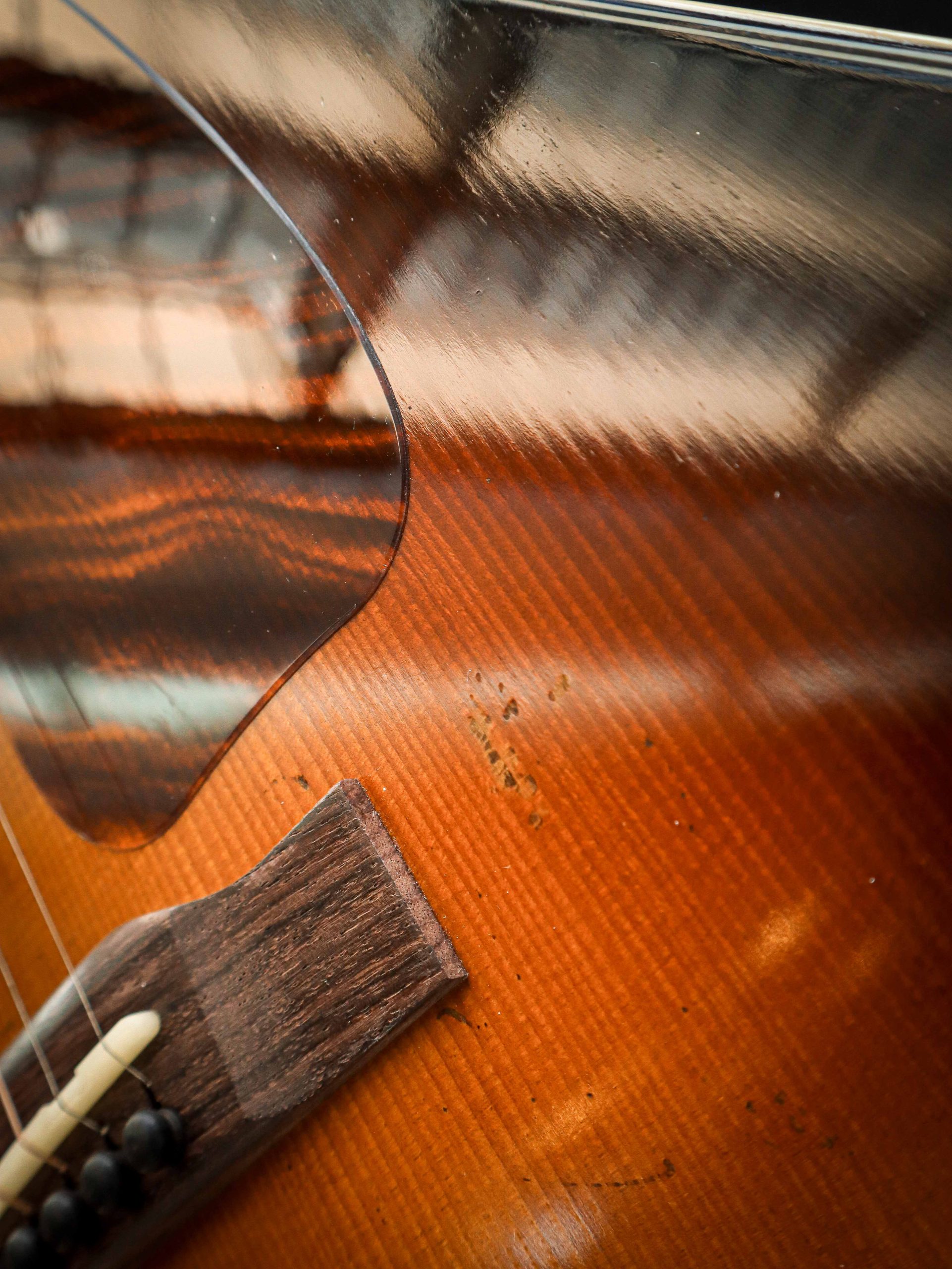 Eastman E22 SS/v - Image 8