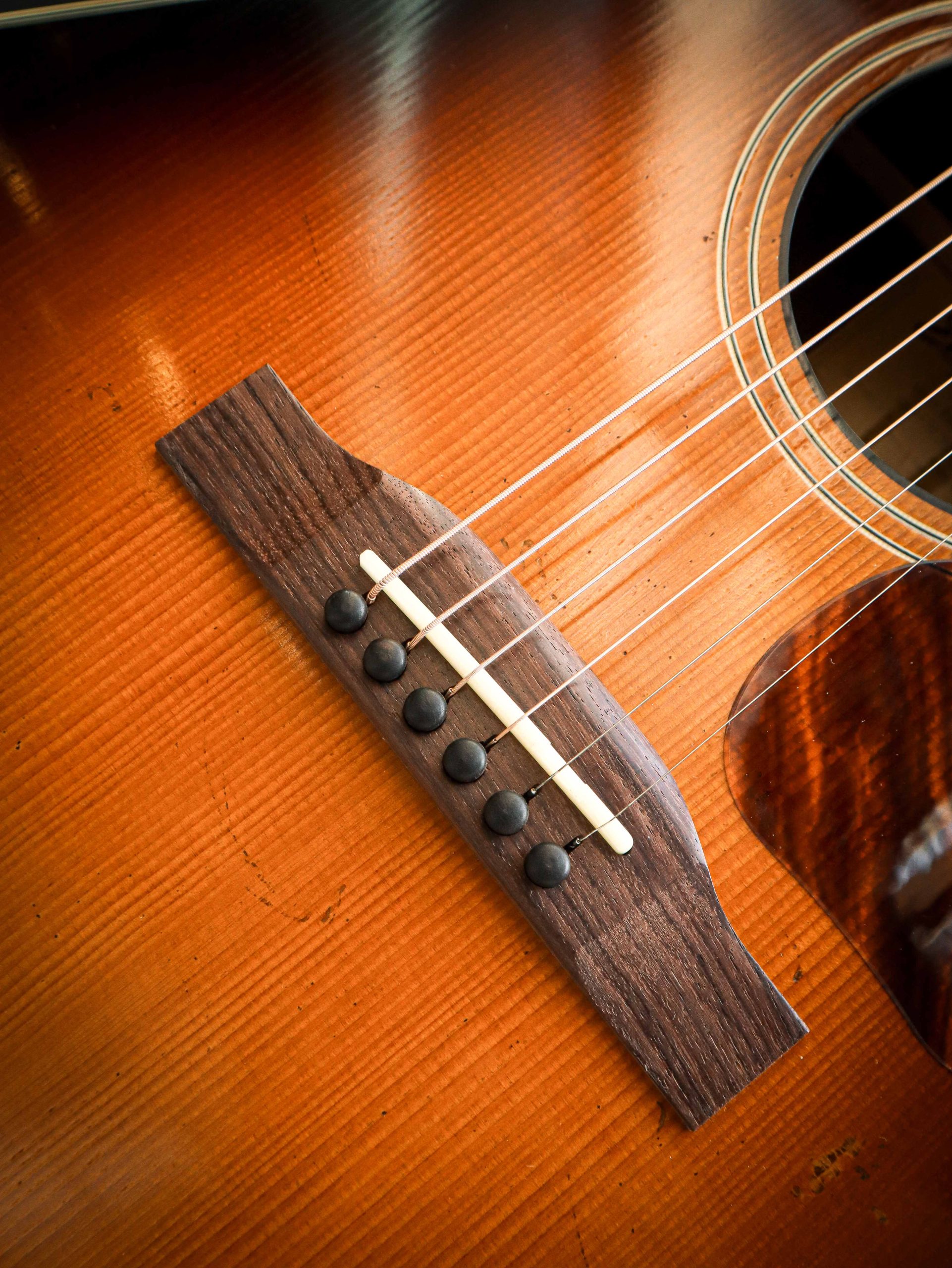 Eastman E22 SS/v - Image 7