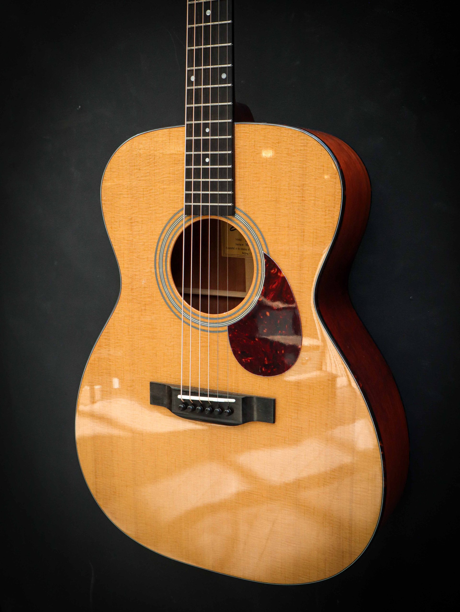 Eastman E6 OM TC - Image 6